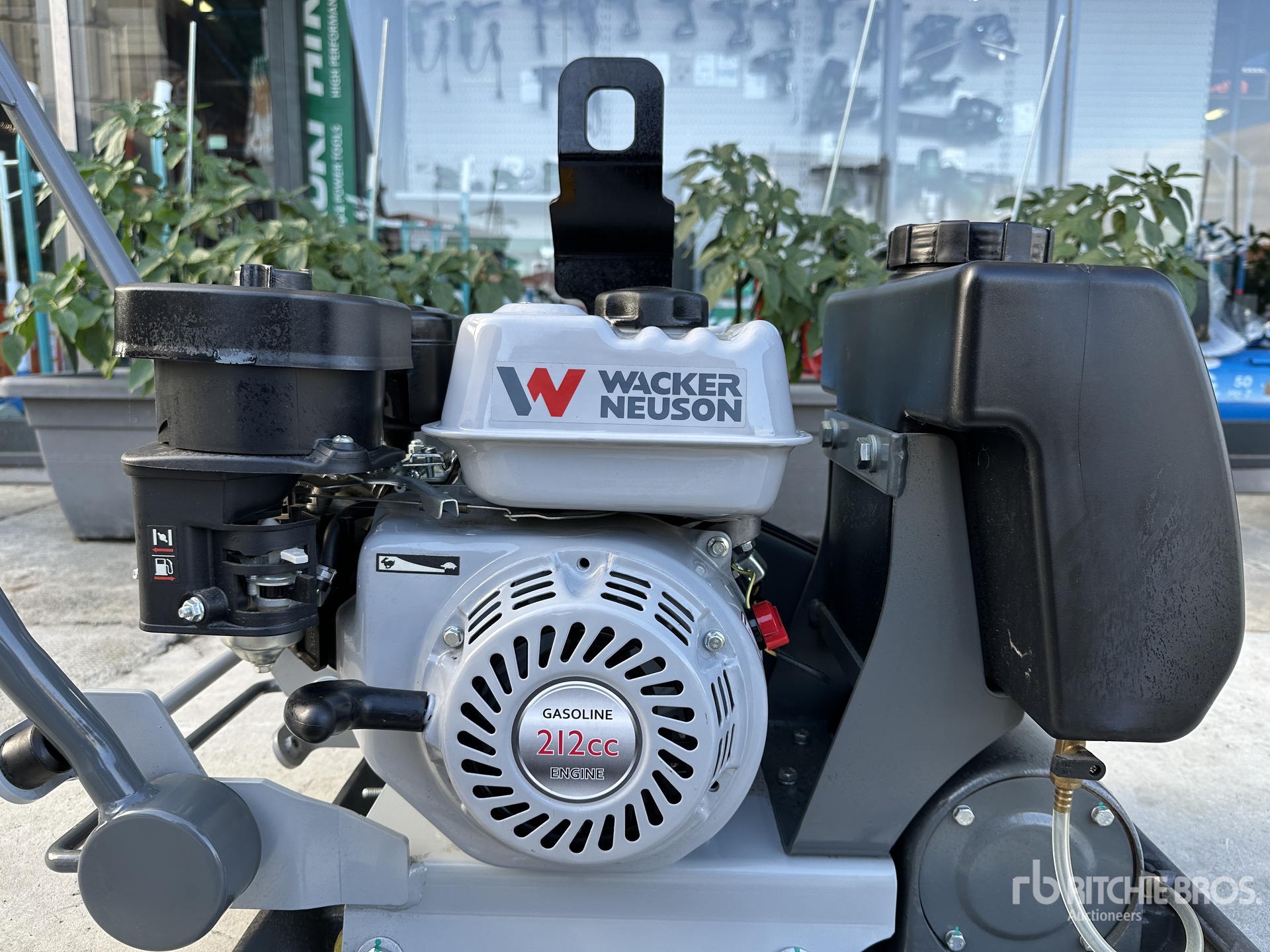 General Appearance with 