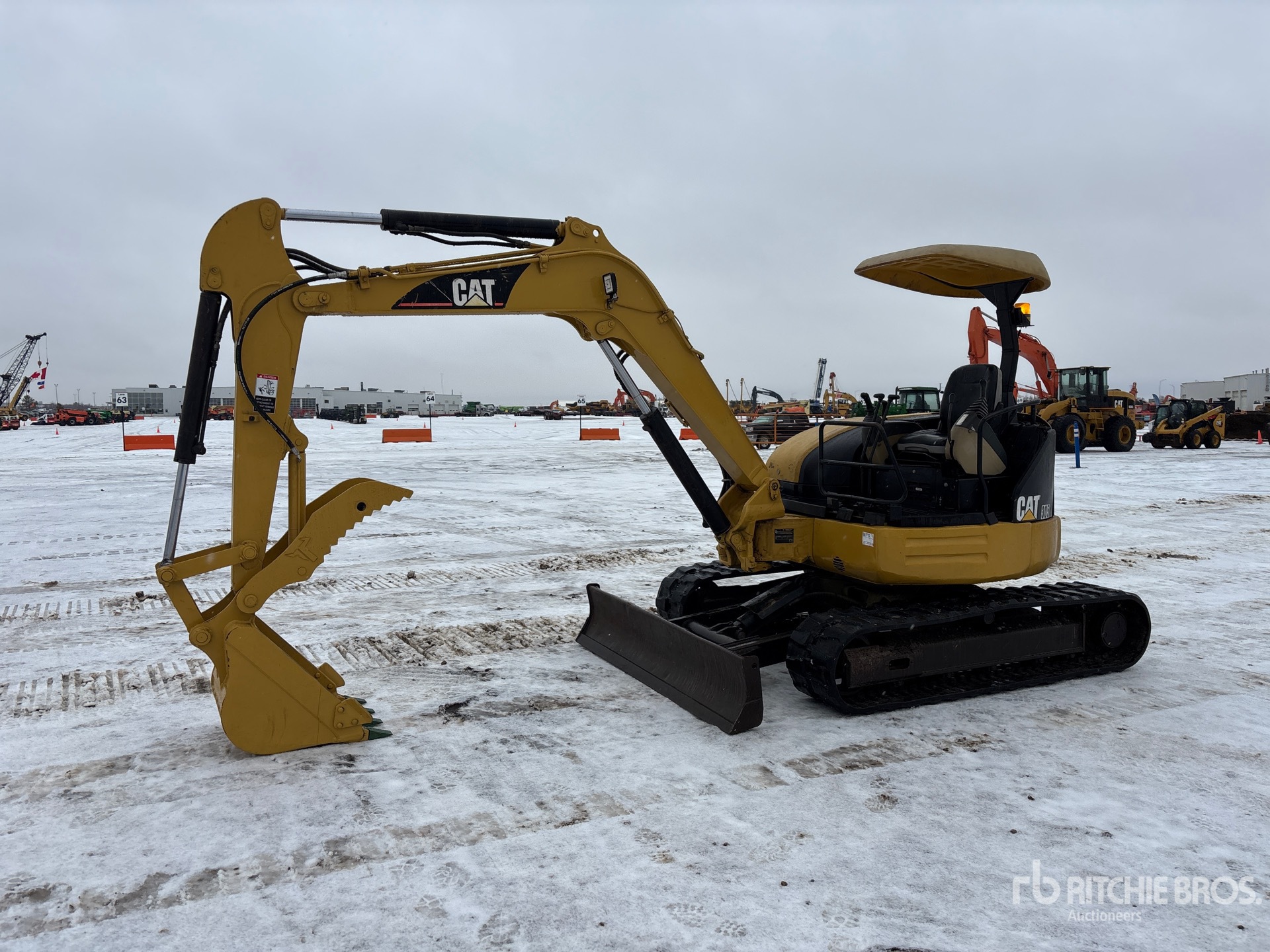 General Appearance with Spin