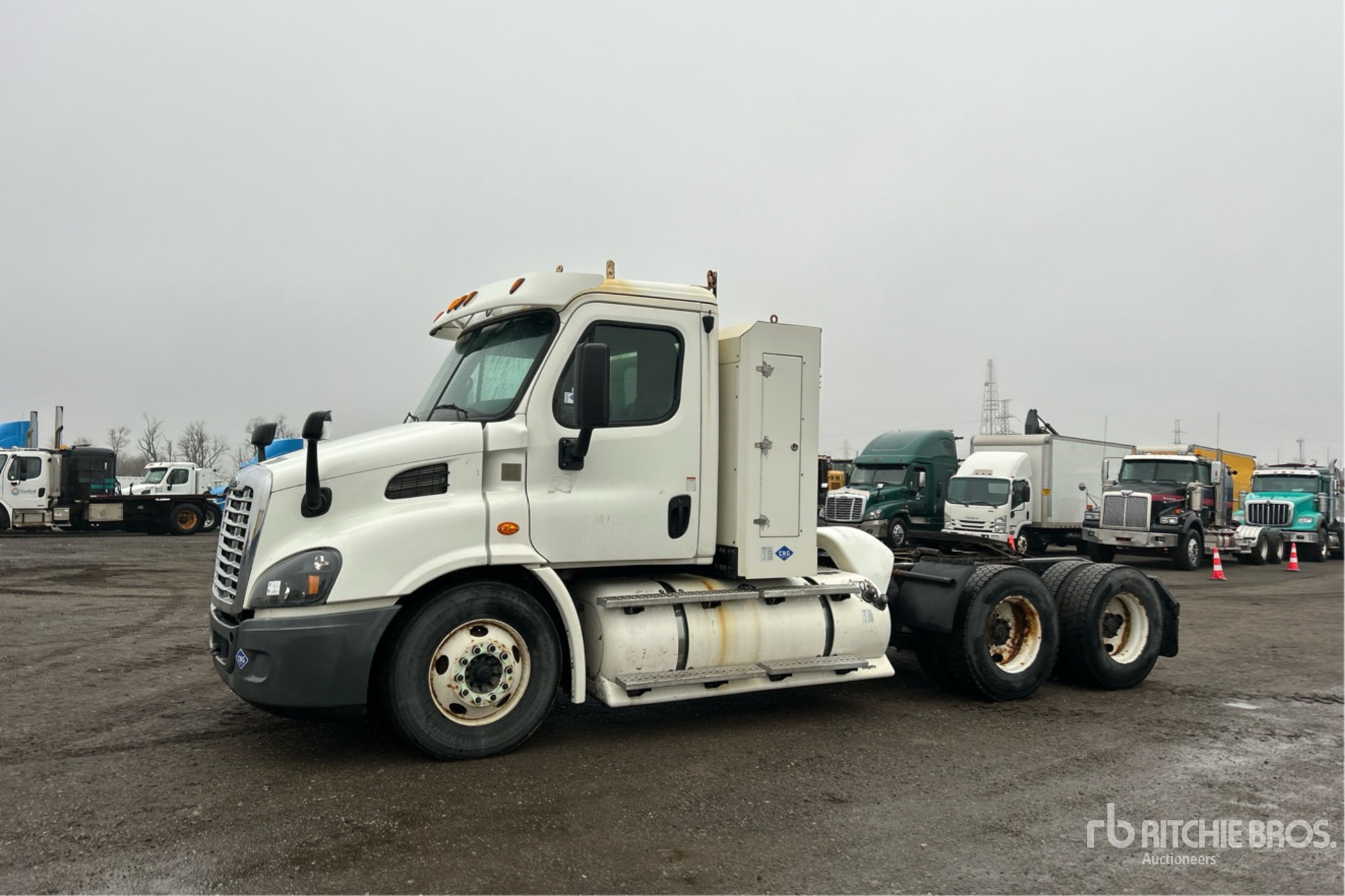 General Appearance with Bild, Ecke vorne links