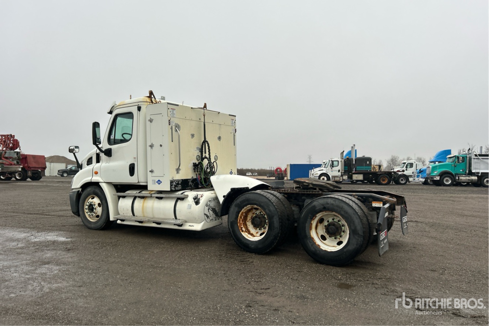 General Appearance with Bild, Ecke hinten links