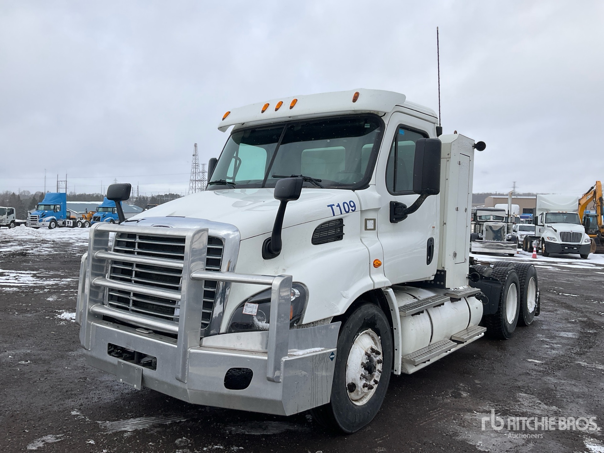 General Appearance with Spin