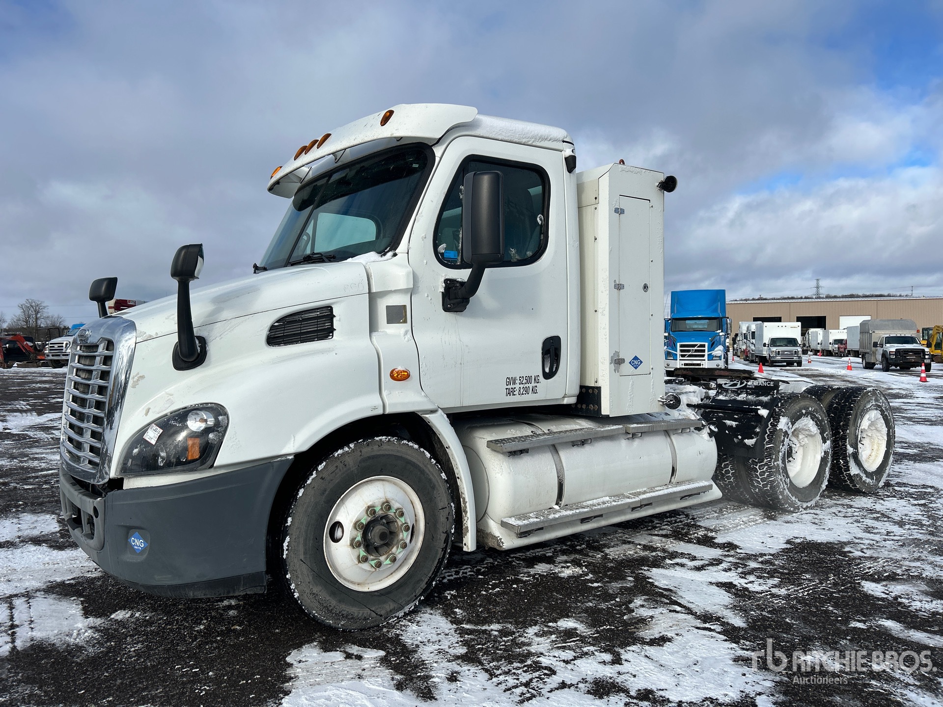 General Appearance with Spin