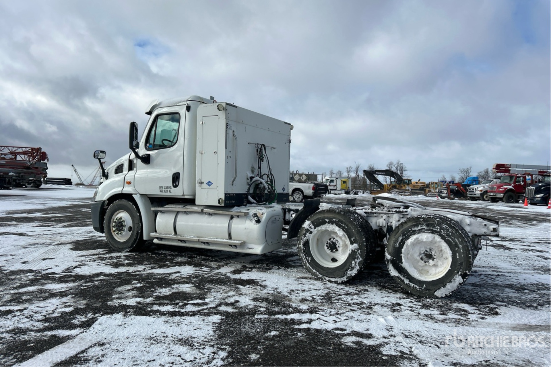 General Appearance with Bild, Ecke hinten links