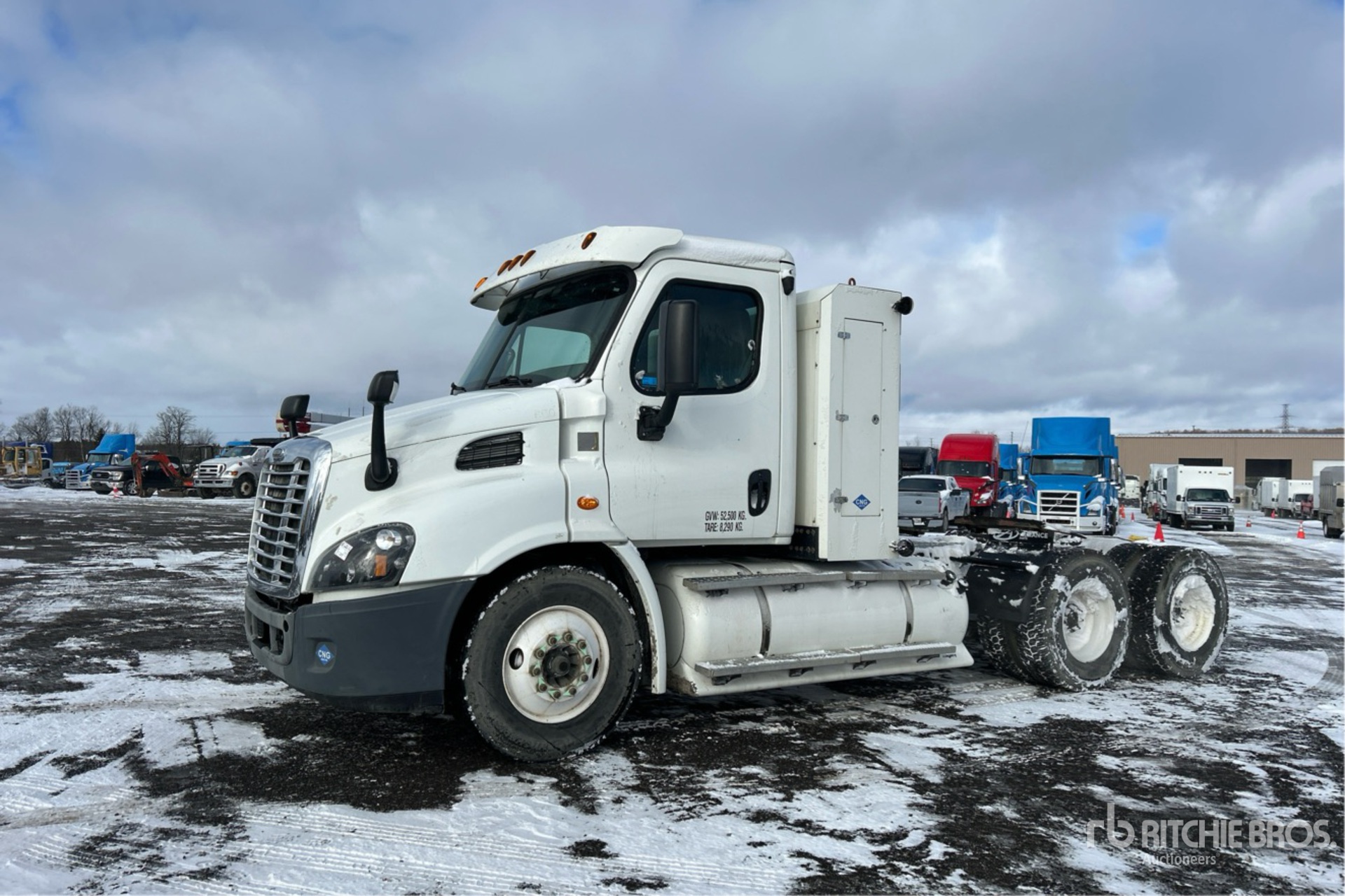 General Appearance with Bild, Ecke vorne links