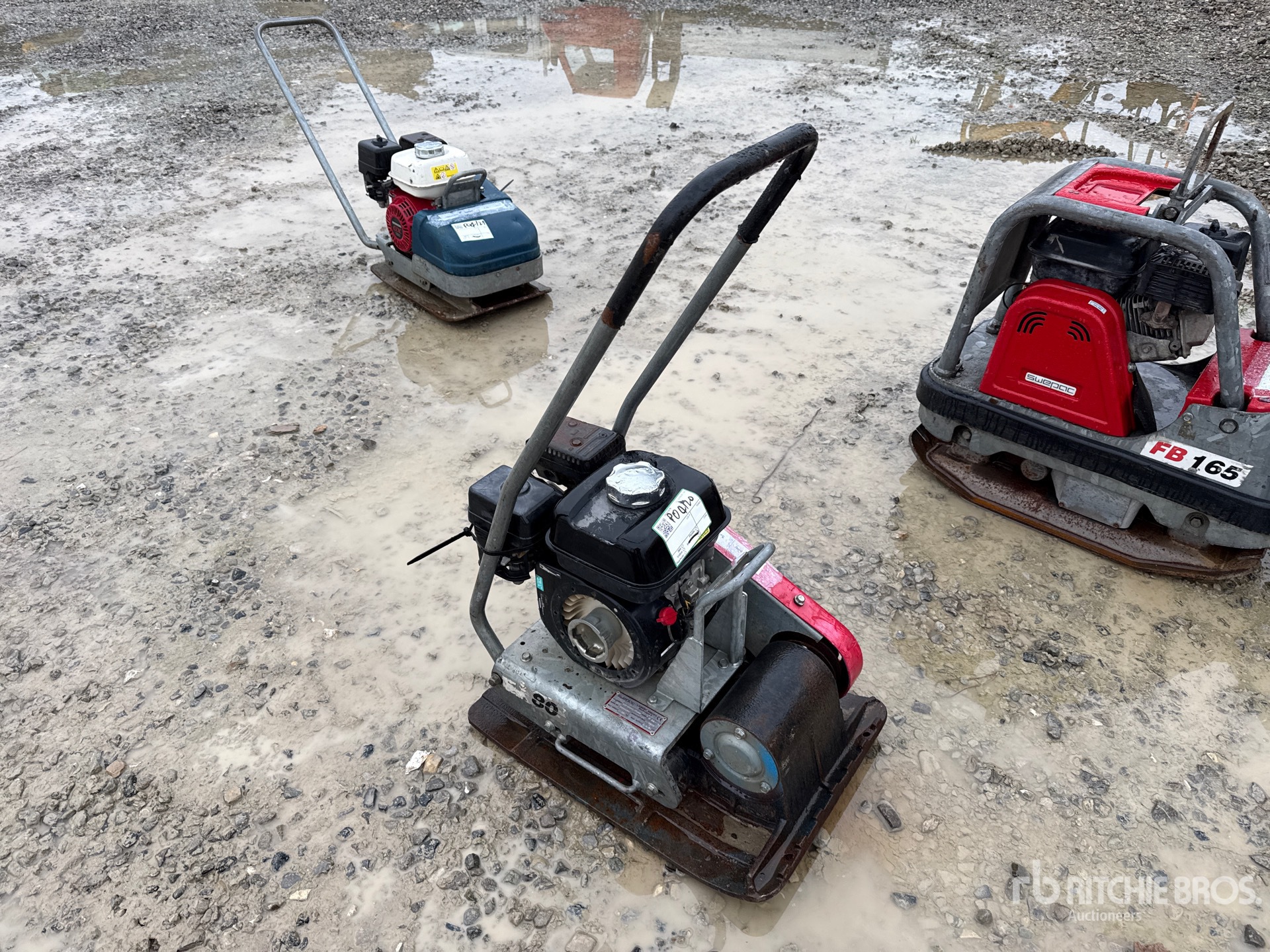 General Appearance with 