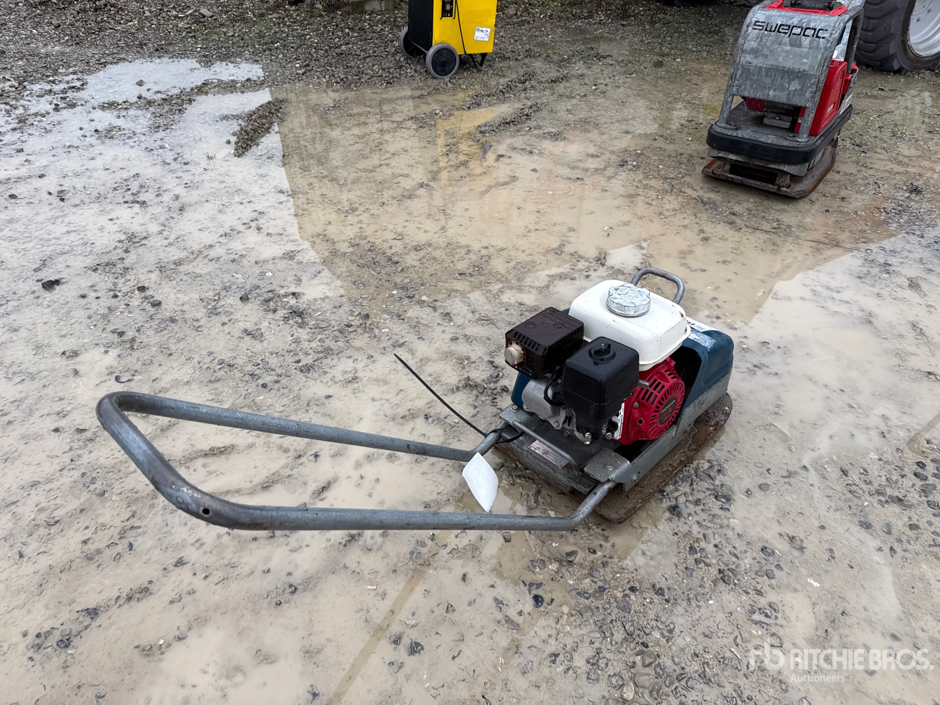 General Appearance with 