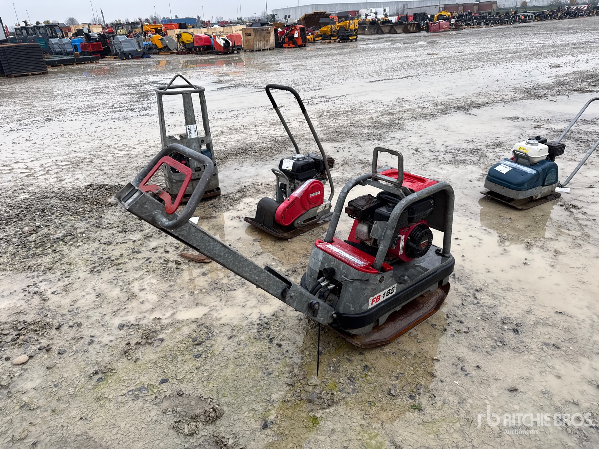 General Appearance with 