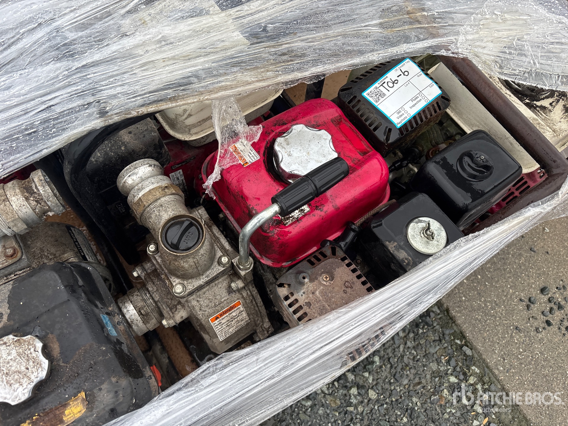 General Appearance with