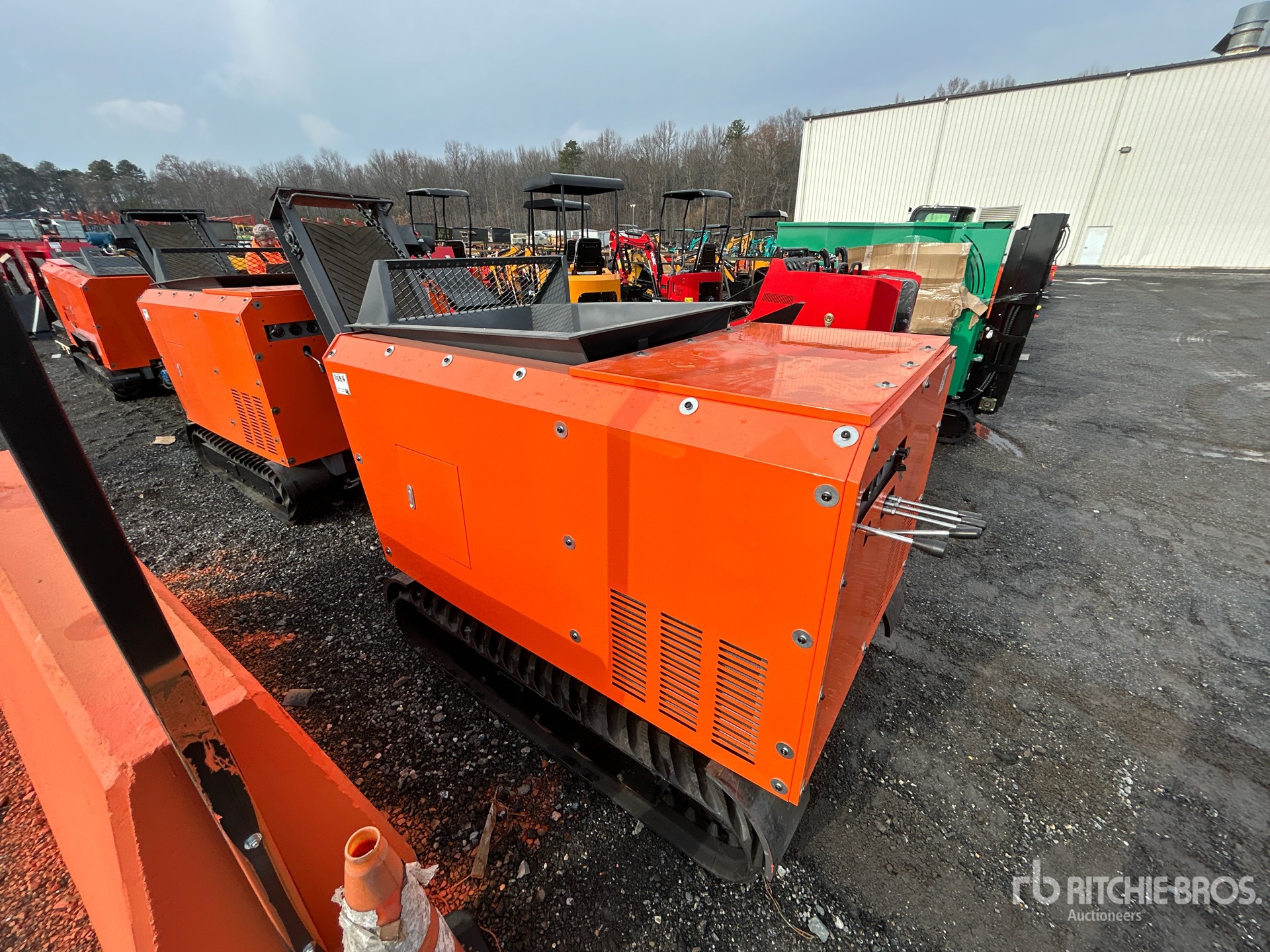 General Appearance with Zdjęcie, lewy dolny róg