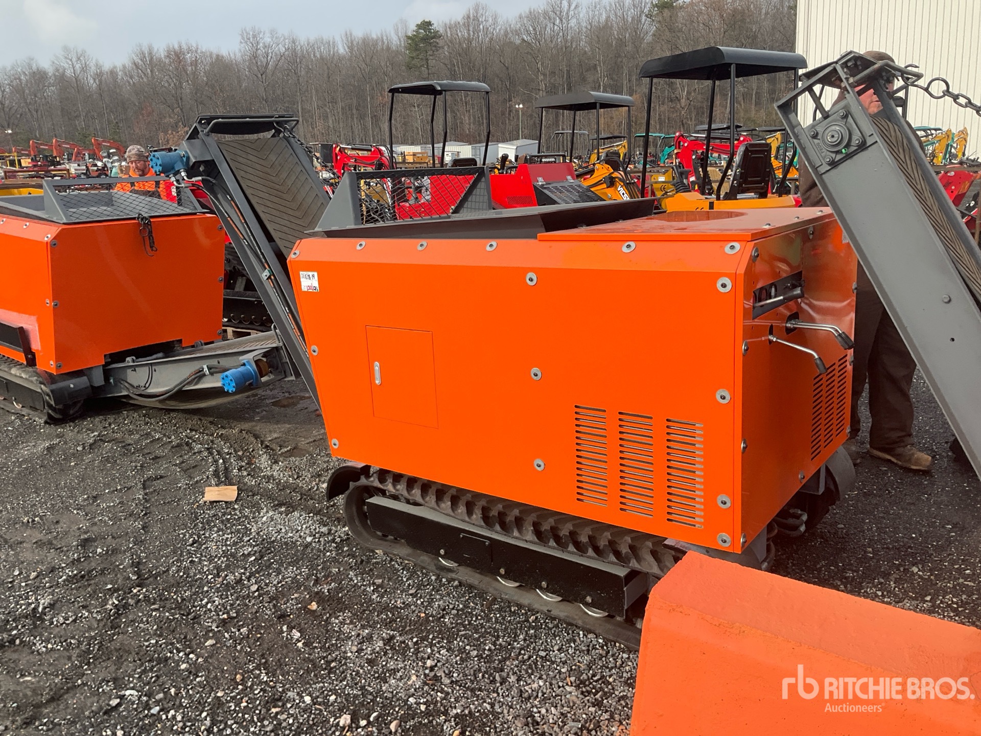 General Appearance with Zdjęcie, lewy dolny róg