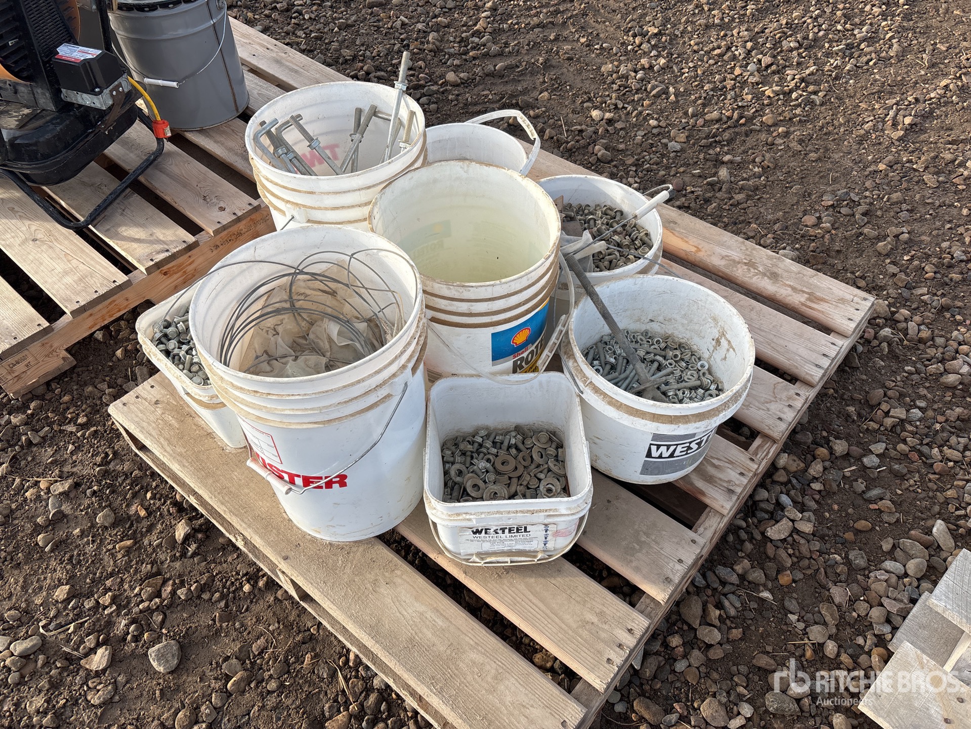 General Appearance with Zdjęcie, lewy górny róg