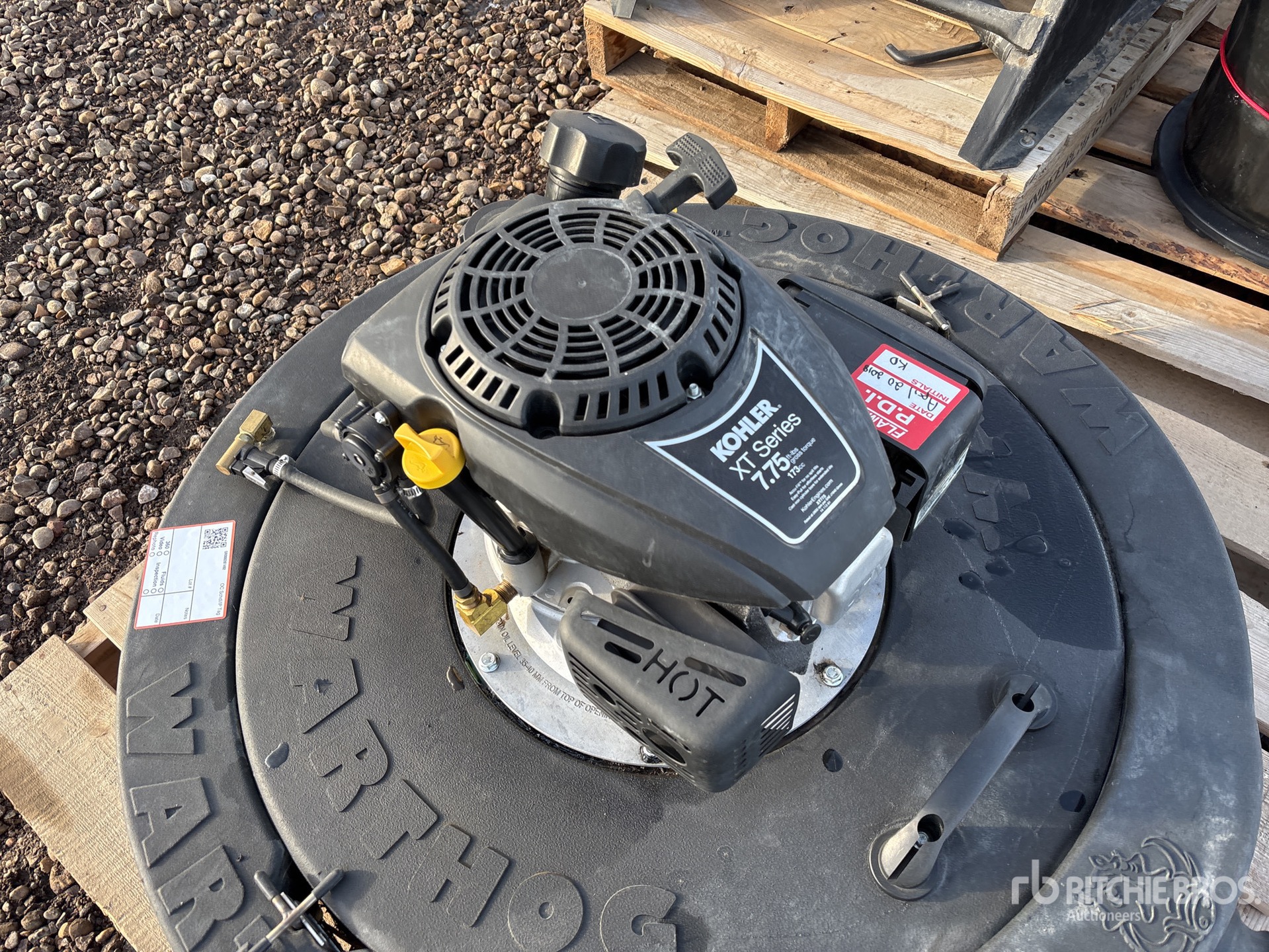 General Appearance with 