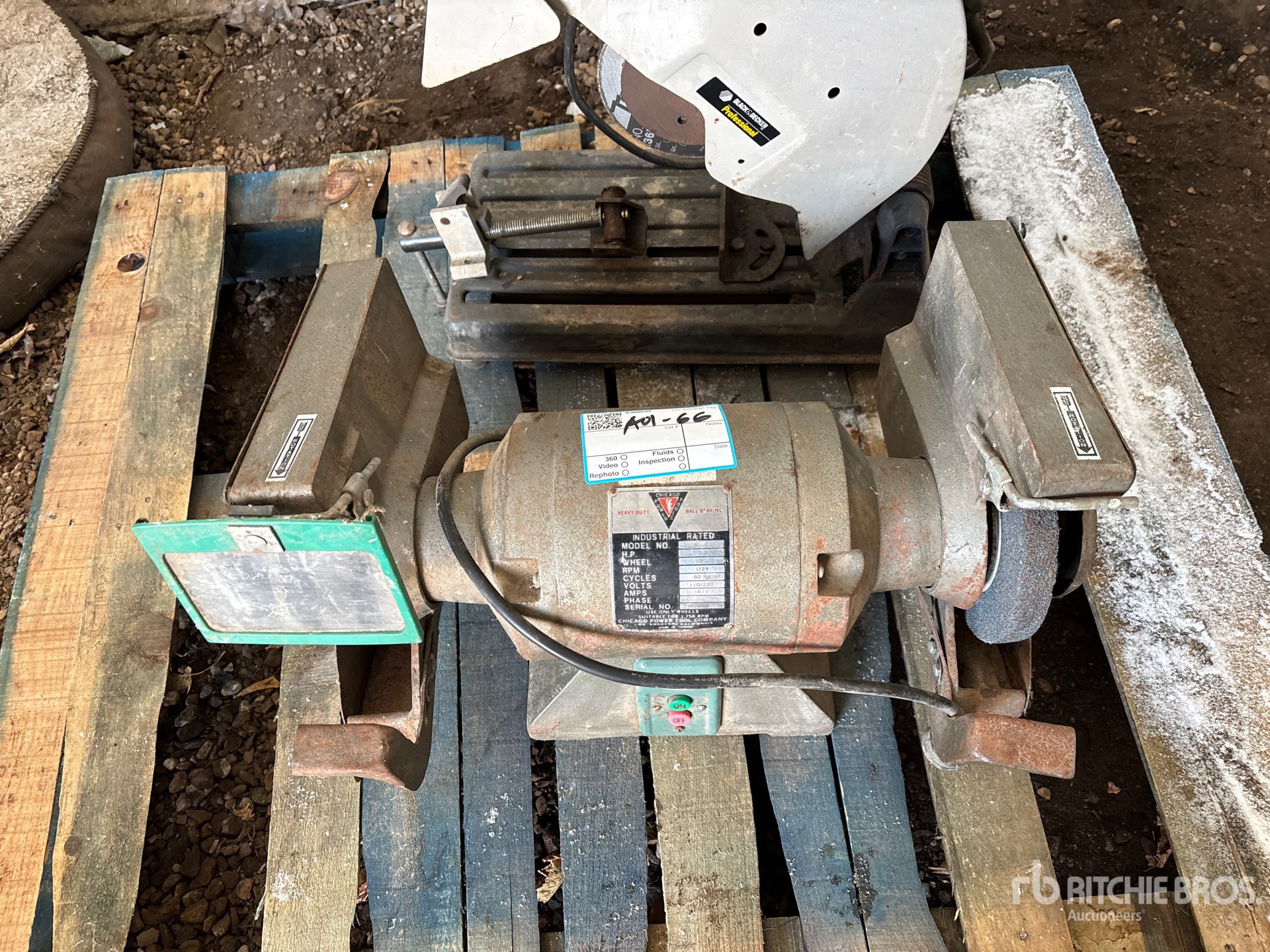 General Appearance with 