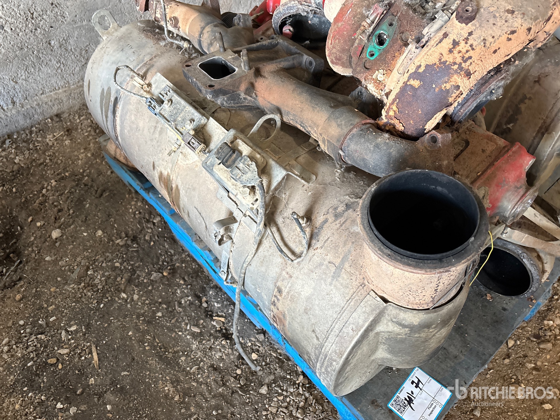 General Appearance with 