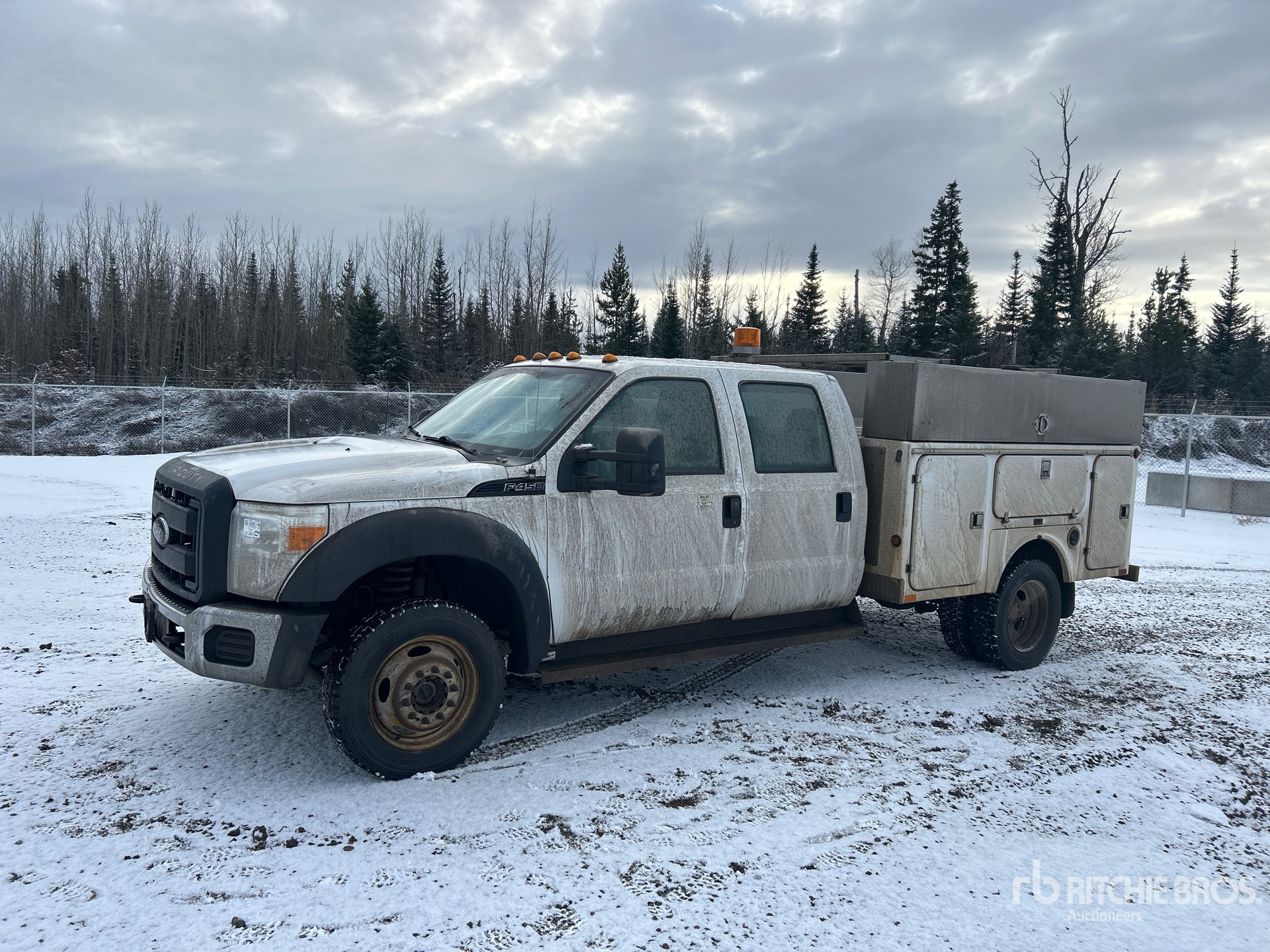 General Appearance with Spin