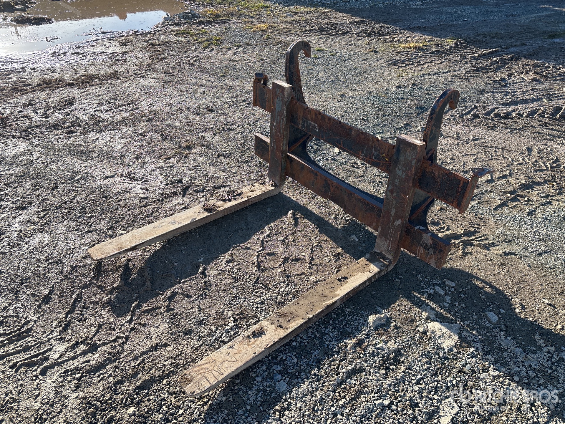 General Appearance with Foto, angolo anteriore sinistro