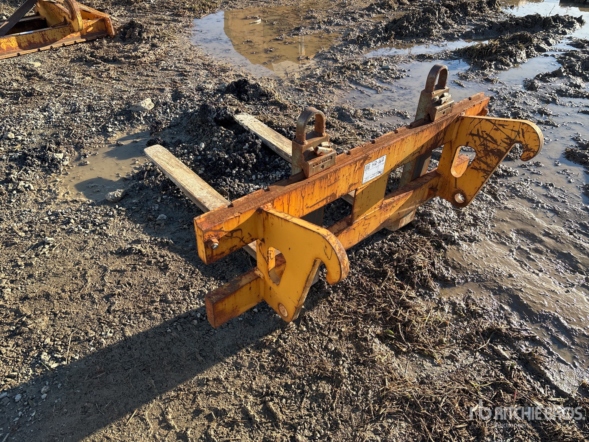 General Appearance with Zdjęcie, lewy dolny róg