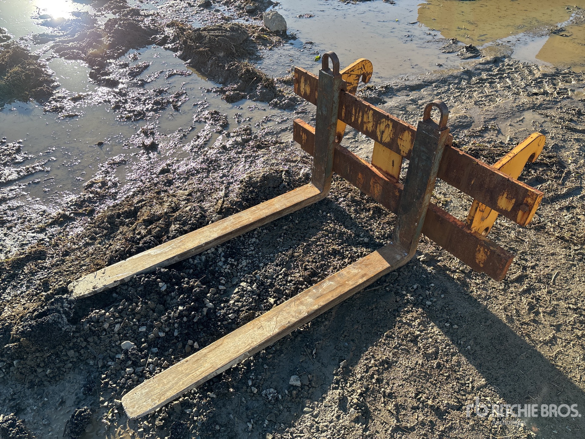 General Appearance with Zdjęcie, lewy górny róg