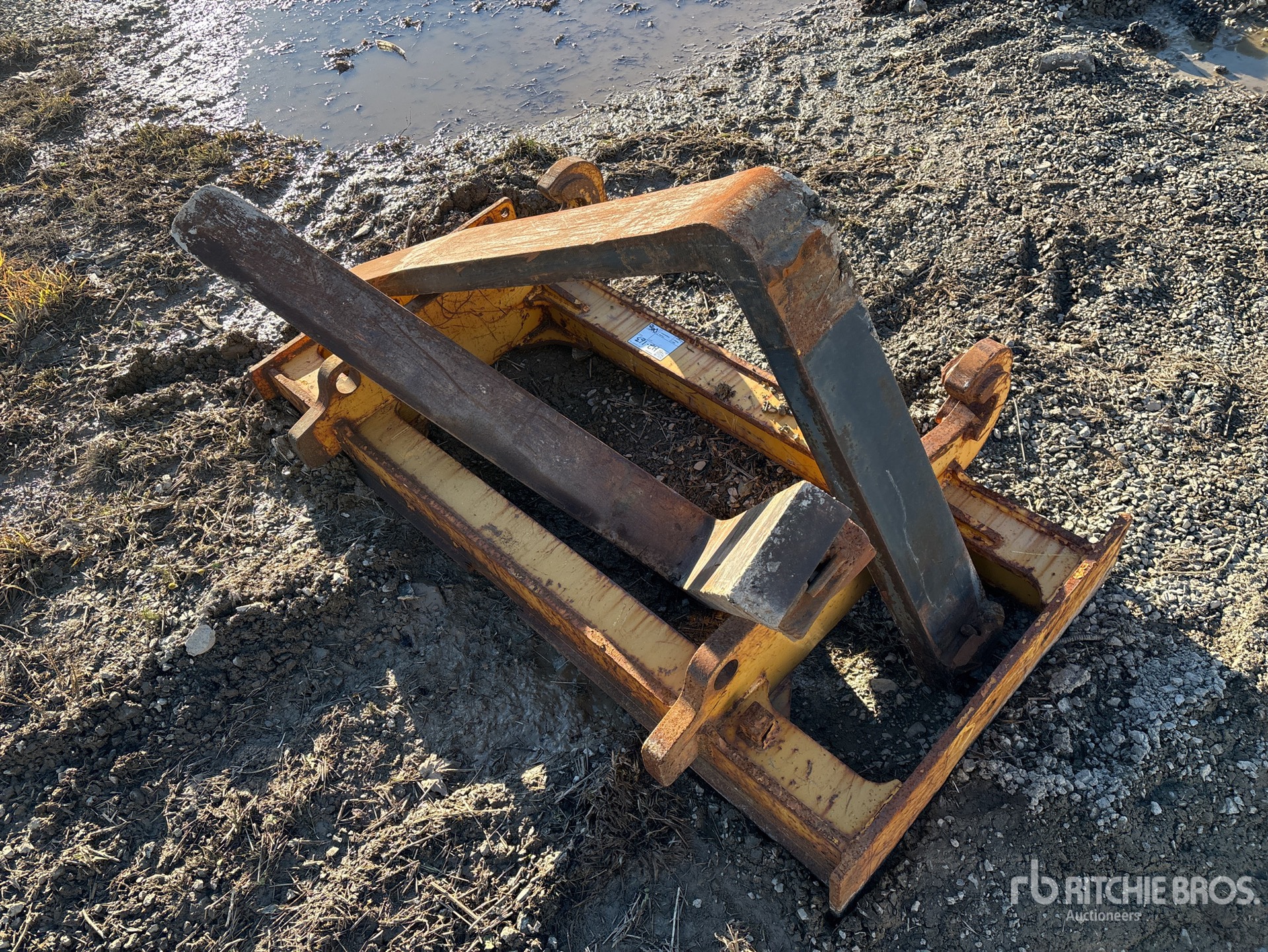 General Appearance with Zdjęcie, lewy górny róg