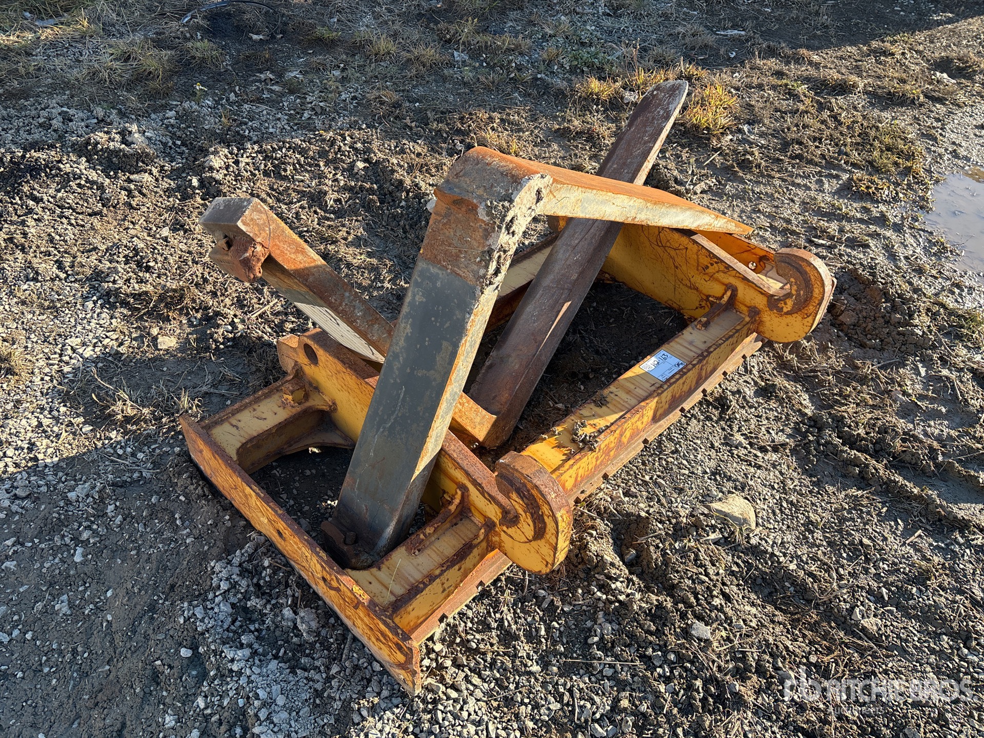 General Appearance with Zdjęcie, lewy dolny róg