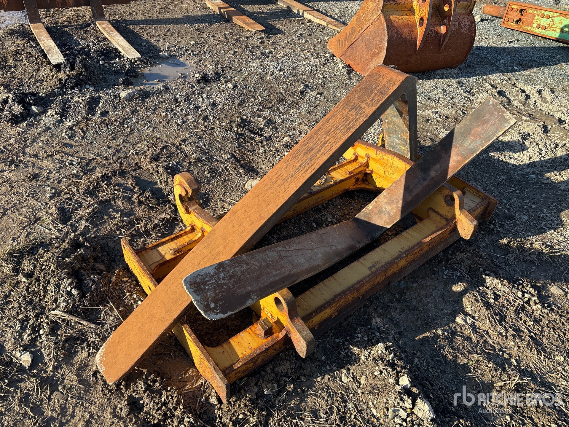 General Appearance with Zdjęcie, prawy górny róg