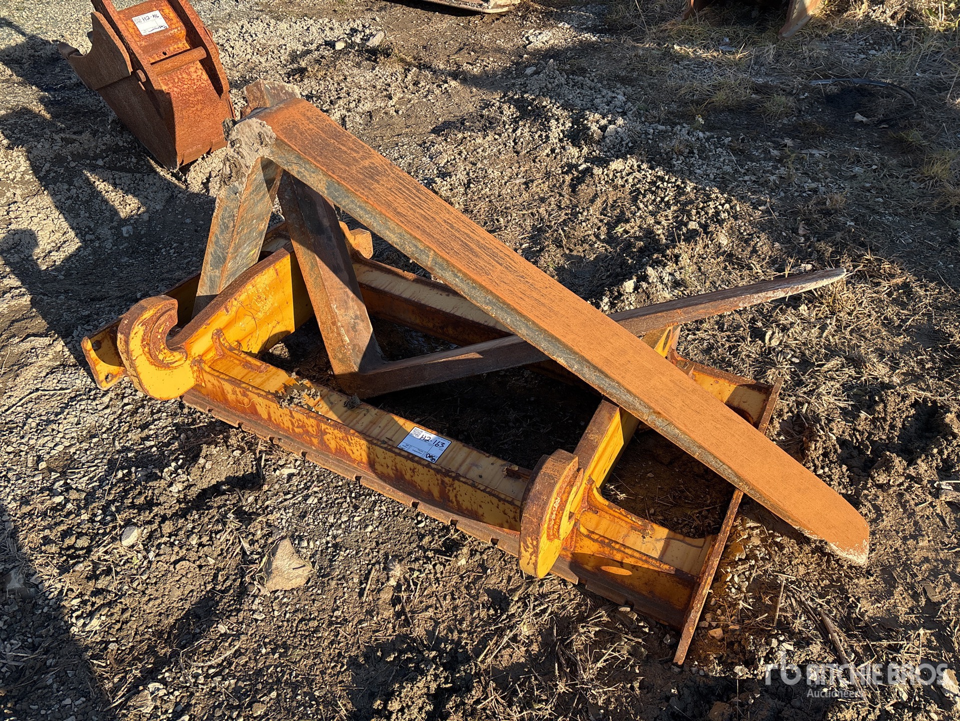 General Appearance with Zdjęcie, prawy dolny róg