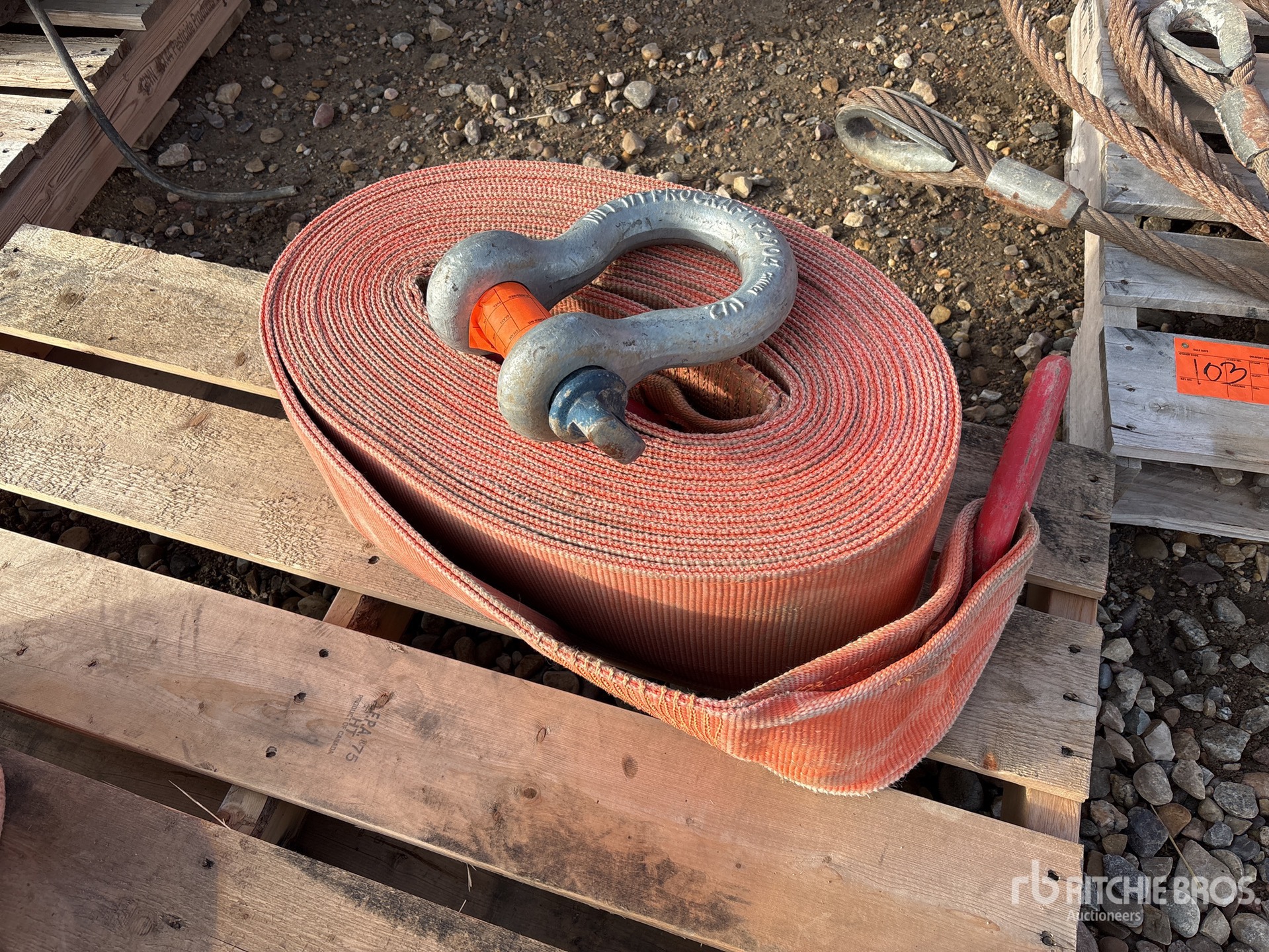 General Appearance with Bild, Ecke vorne links