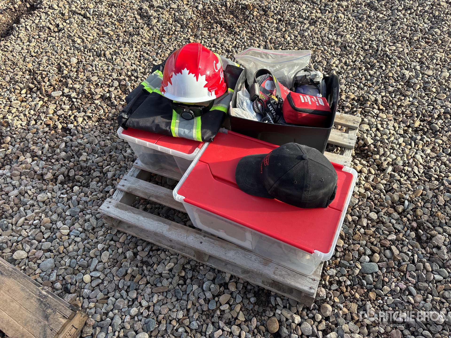 General Appearance with 