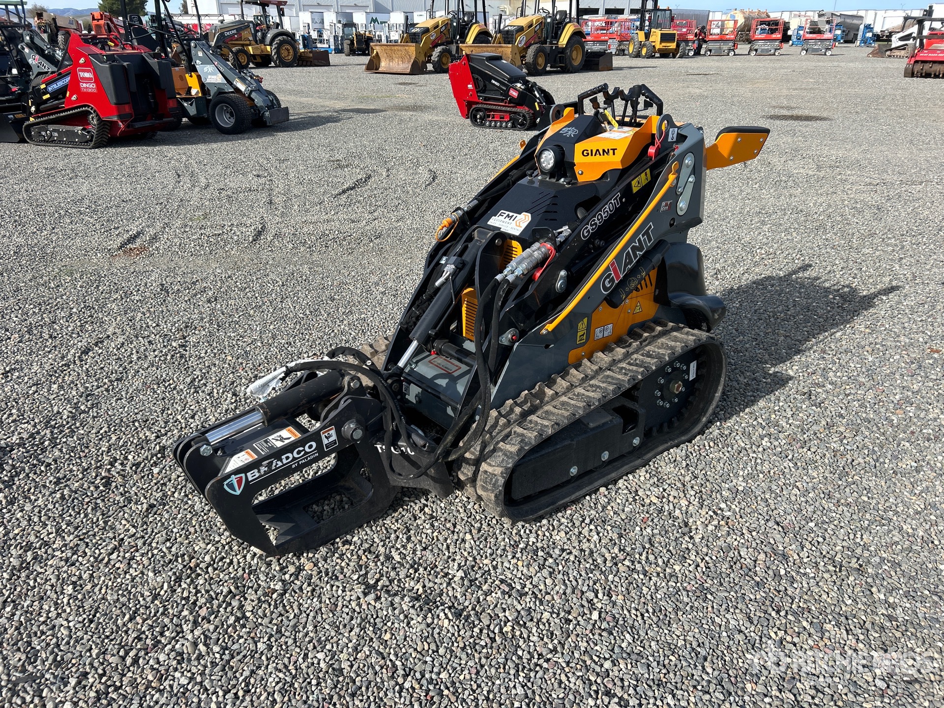 General Appearance with Featured Photo