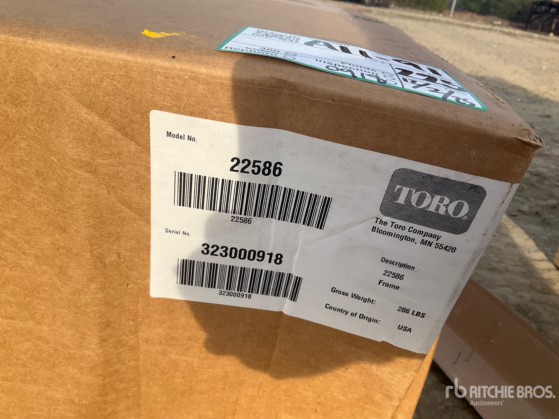 General Appearance with