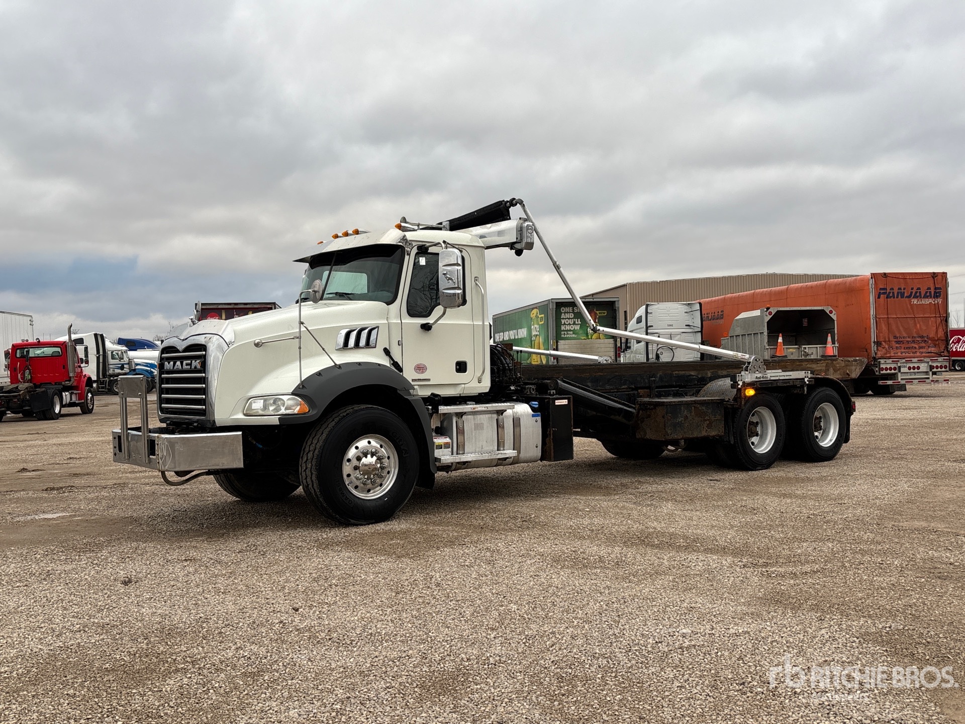 General Appearance with Spin