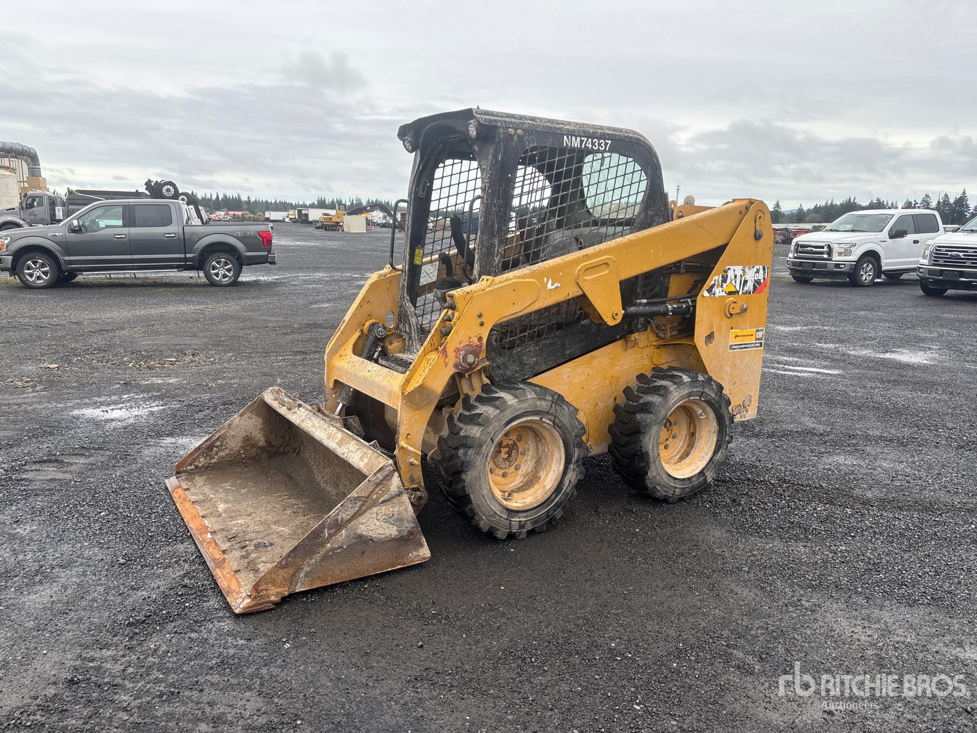 General Appearance with Spin