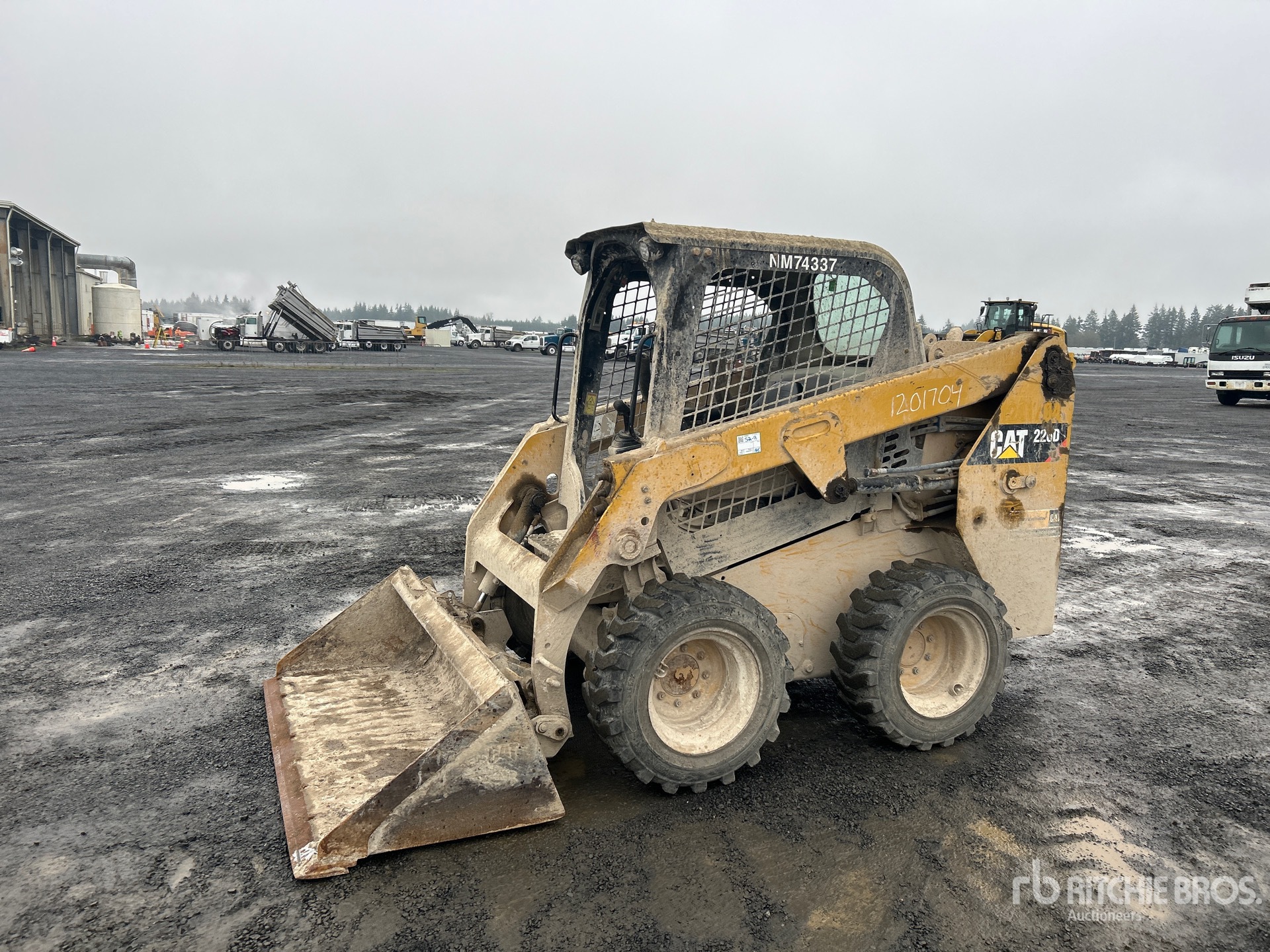 General Appearance with Spin