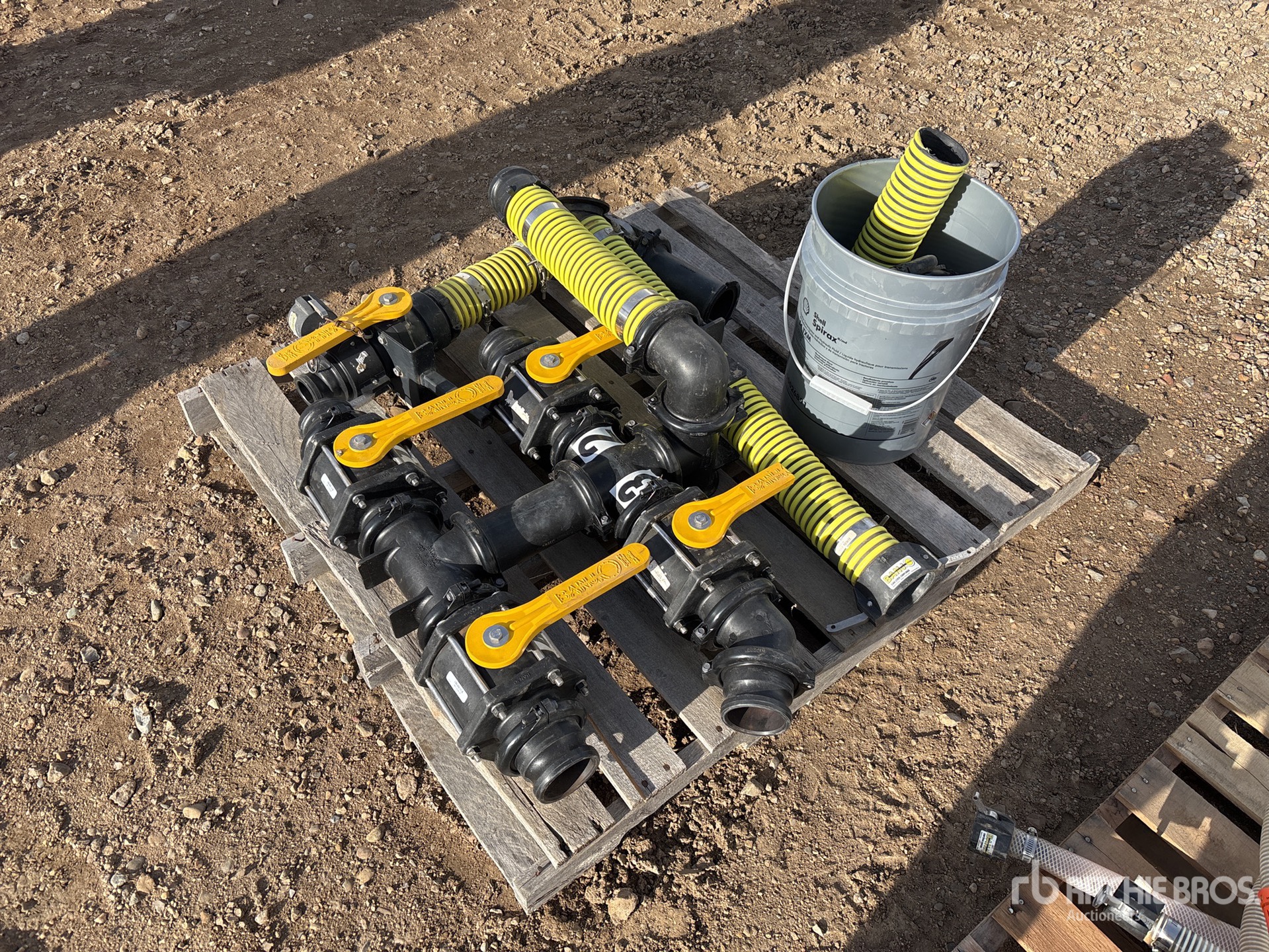 General Appearance with Zdjęcie, lewy górny róg