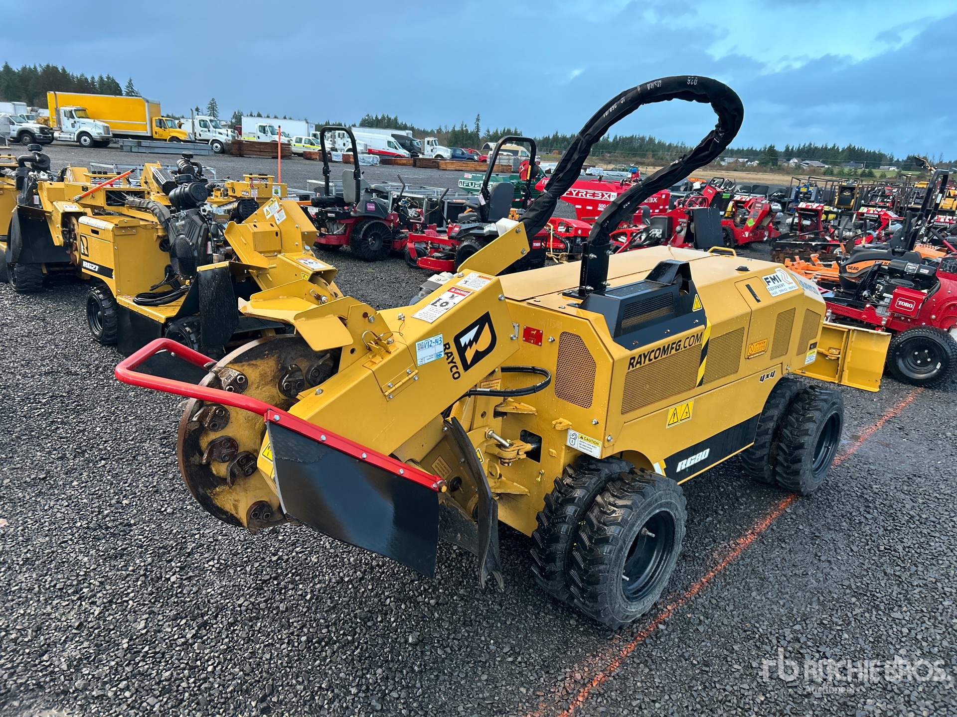 General Appearance with Zdjęcie, lewy górny róg