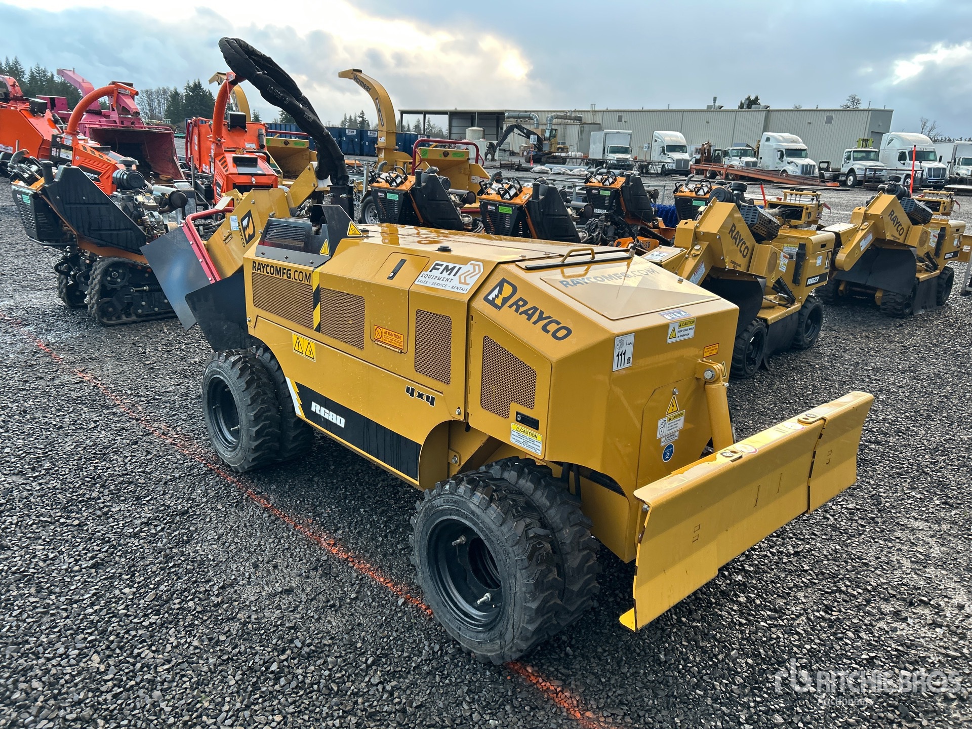 General Appearance with Zdjęcie, lewy dolny róg