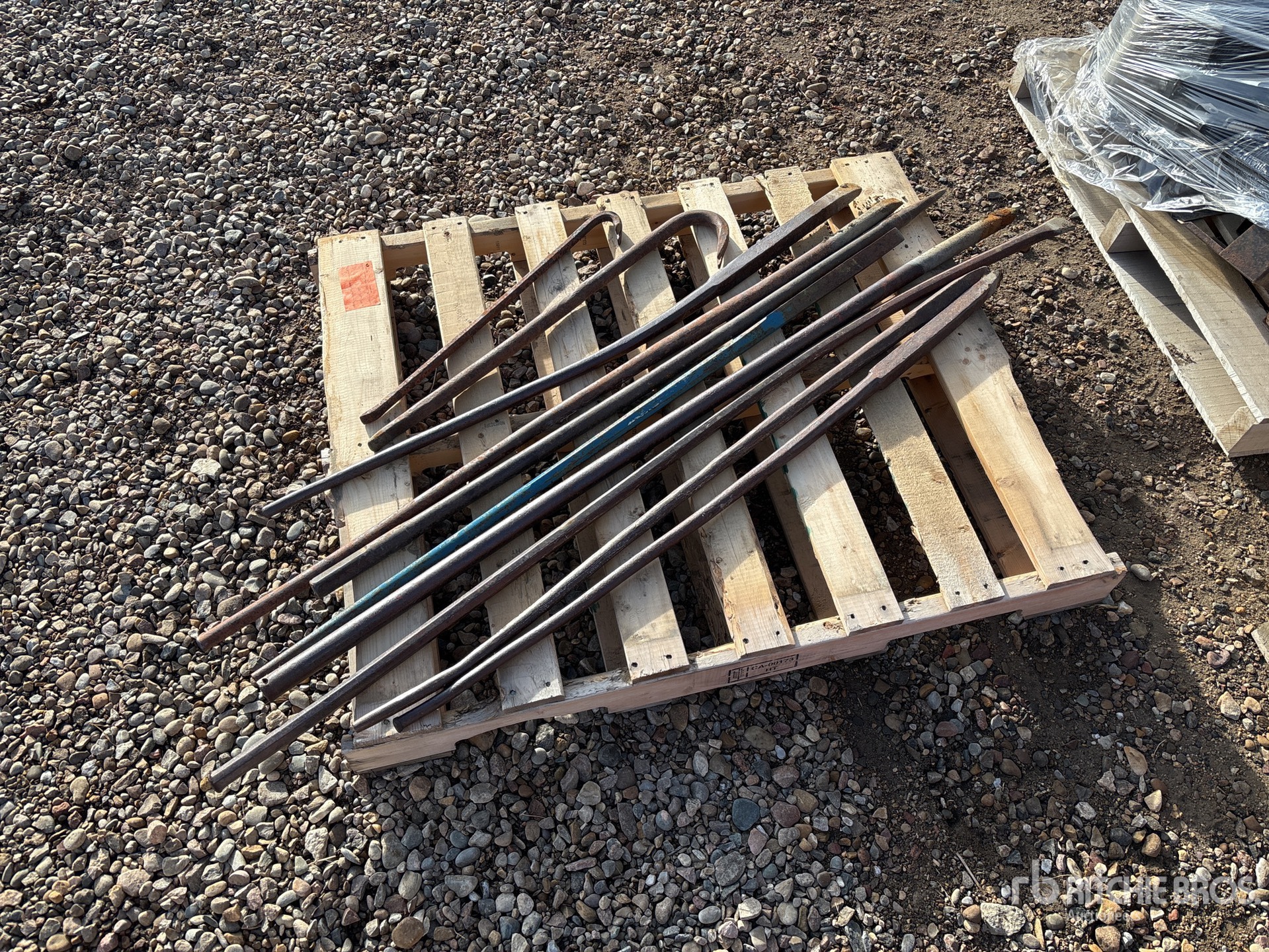 General Appearance with Bild, Ecke vorne links