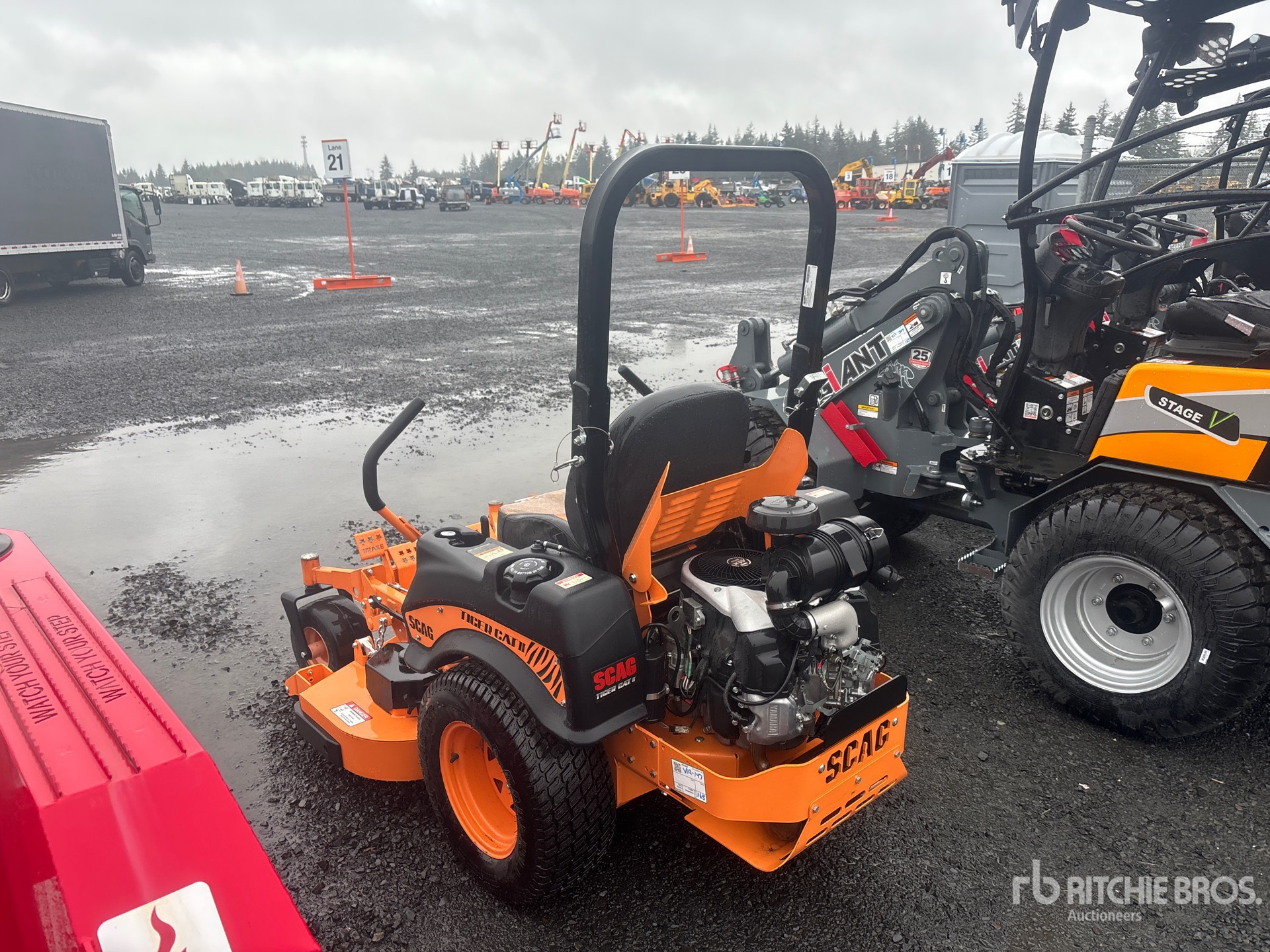 General Appearance with Zdjęcie, lewy dolny róg