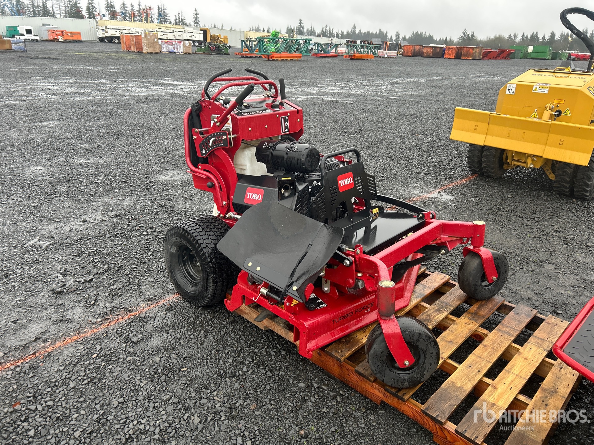 General Appearance with Zdjęcie, prawy górny róg