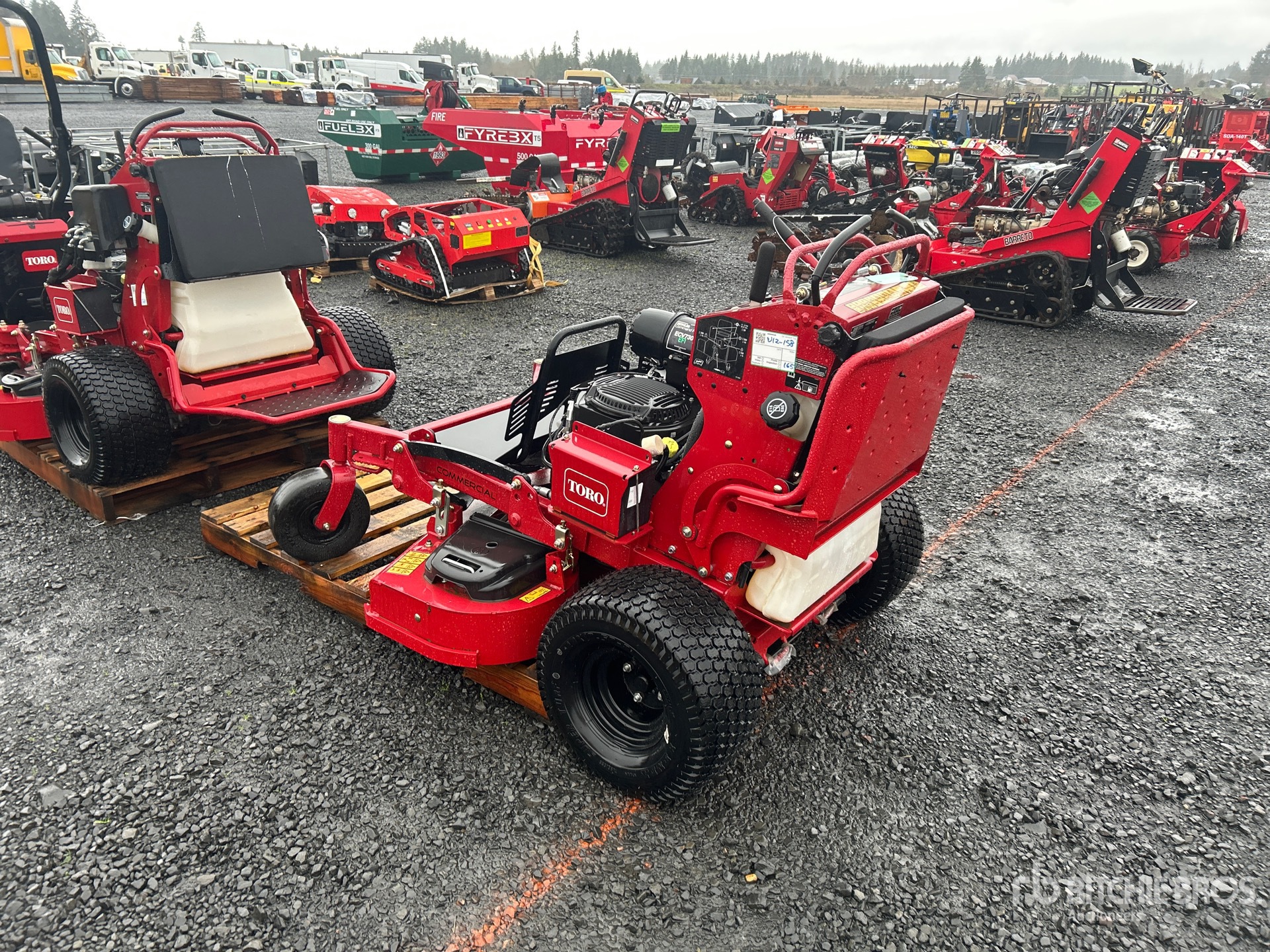 General Appearance with Zdjęcie, lewy dolny róg