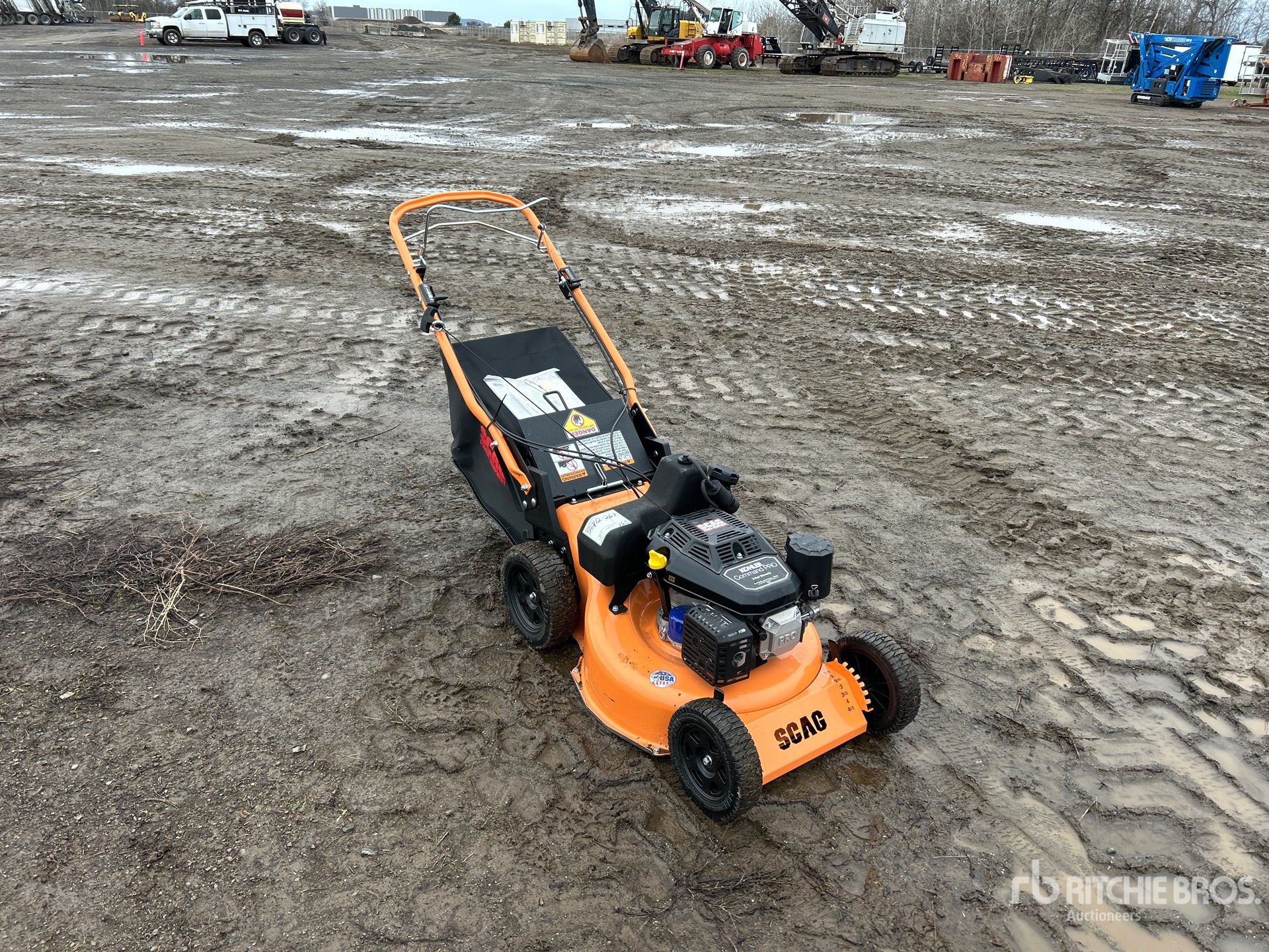 General Appearance with Zdjęcie, prawy górny róg