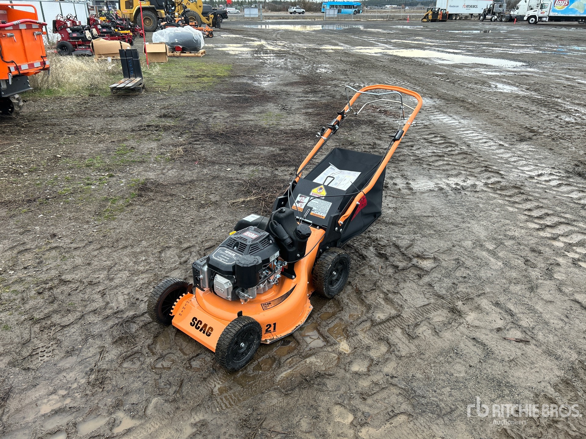 General Appearance with Zdjęcie, lewy górny róg