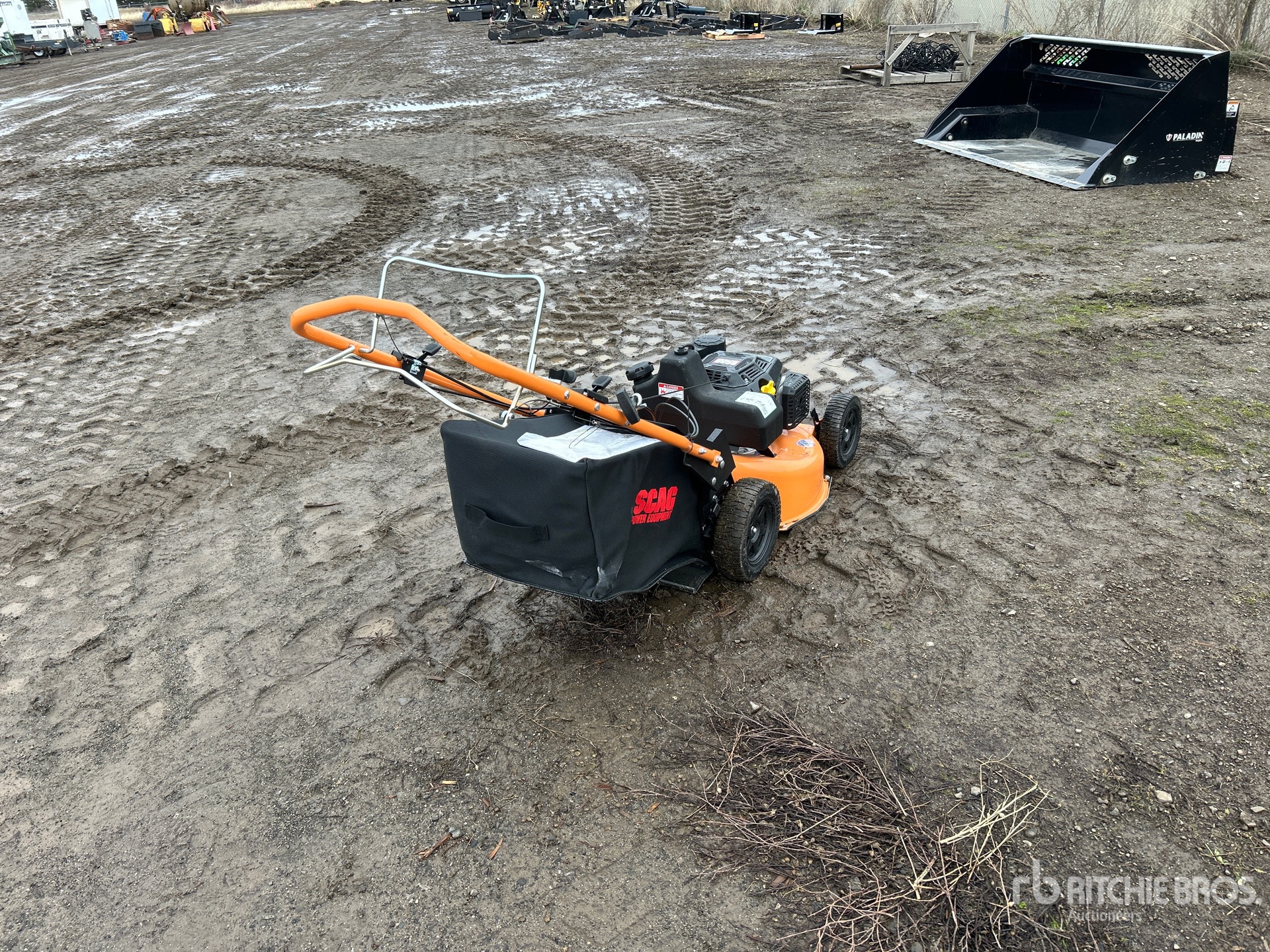 General Appearance with Zdjęcie, prawy dolny róg