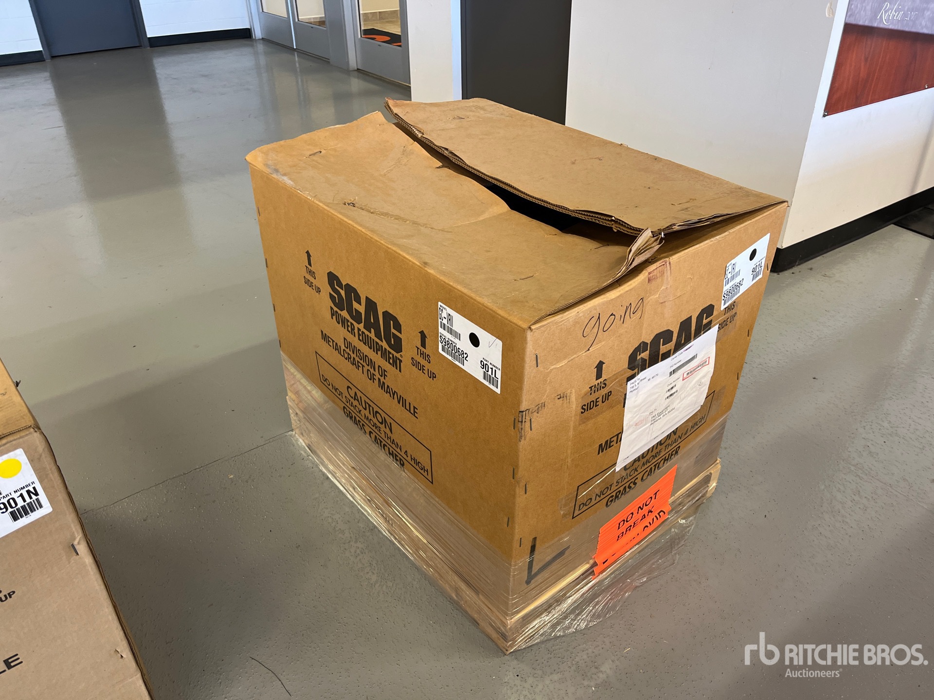 General Appearance with