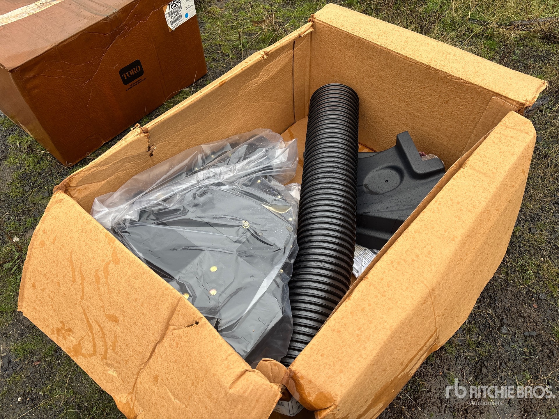 General Appearance with Zdjęcie, lewy dolny róg