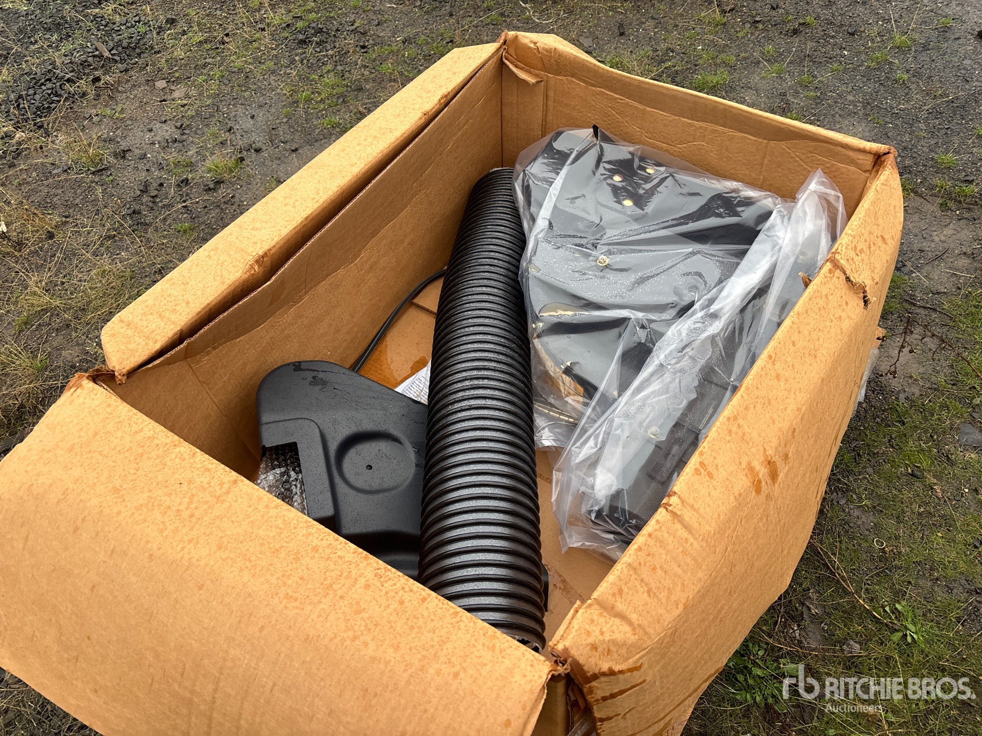 General Appearance with Zdjęcie, prawy górny róg