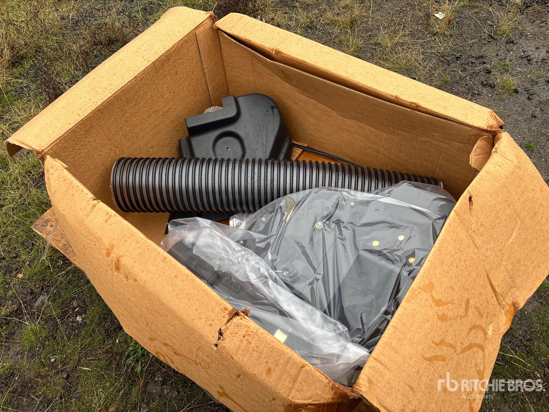 General Appearance with Zdjęcie, lewy górny róg