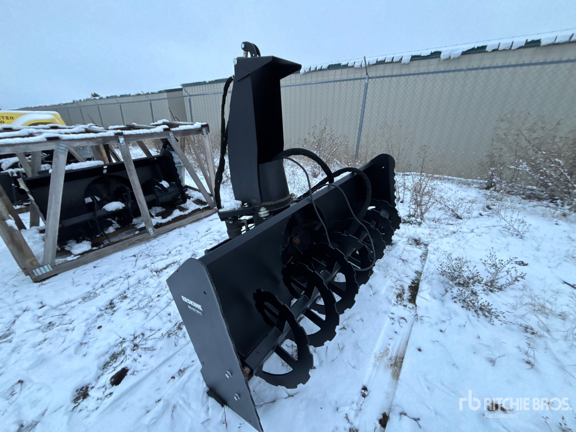 General Appearance with Zdjęcie, prawy górny róg