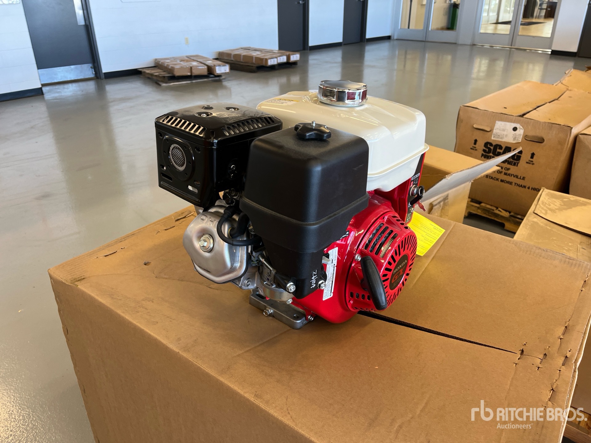 General Appearance with Bild, Ecke hinten links