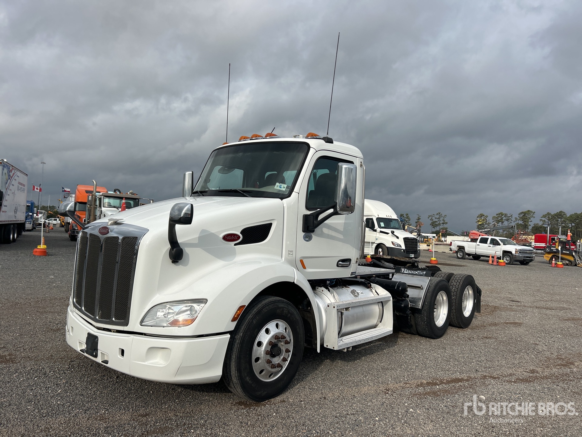 General Appearance with Spin